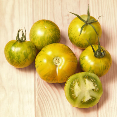 Plant de Tomate - Green Zebra