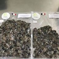 POCHE D'ESCARGOTS BLANCHI 1 KG