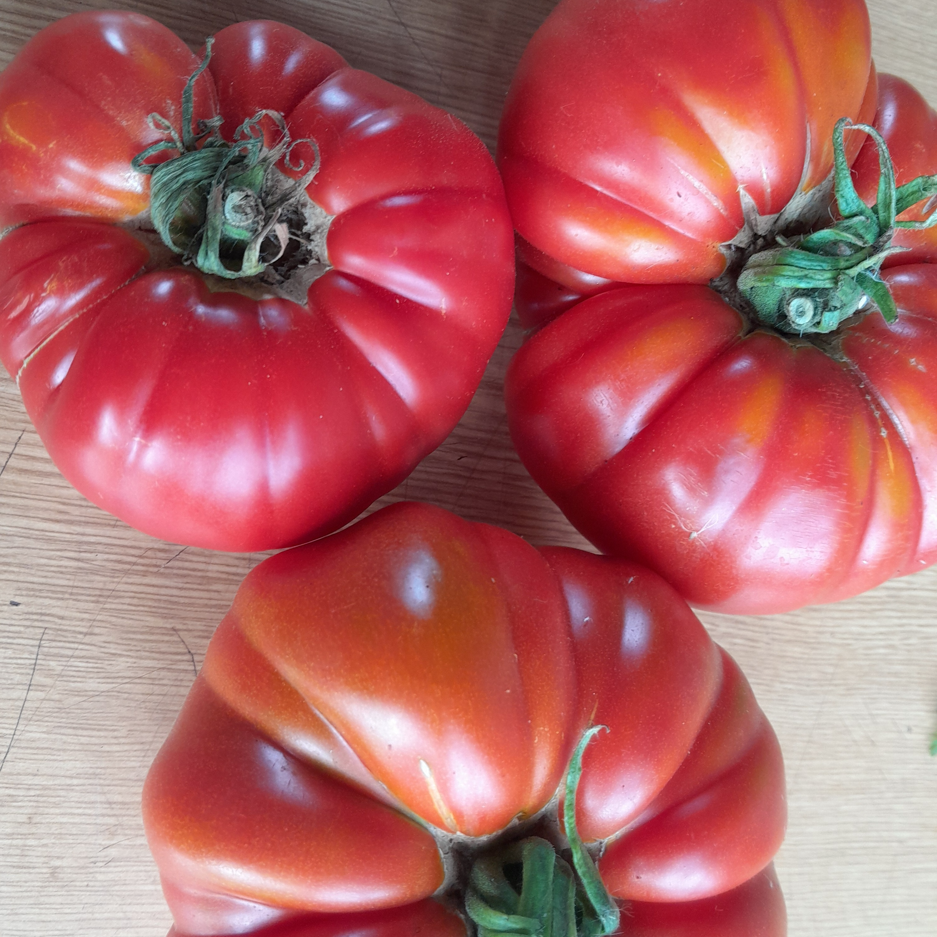 Tomate a farcir