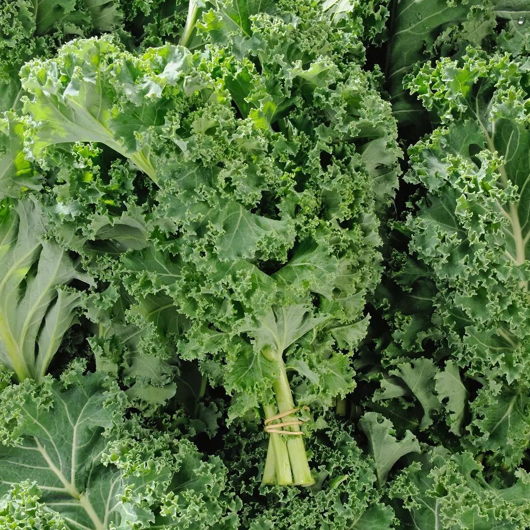 Chou kale (botte)