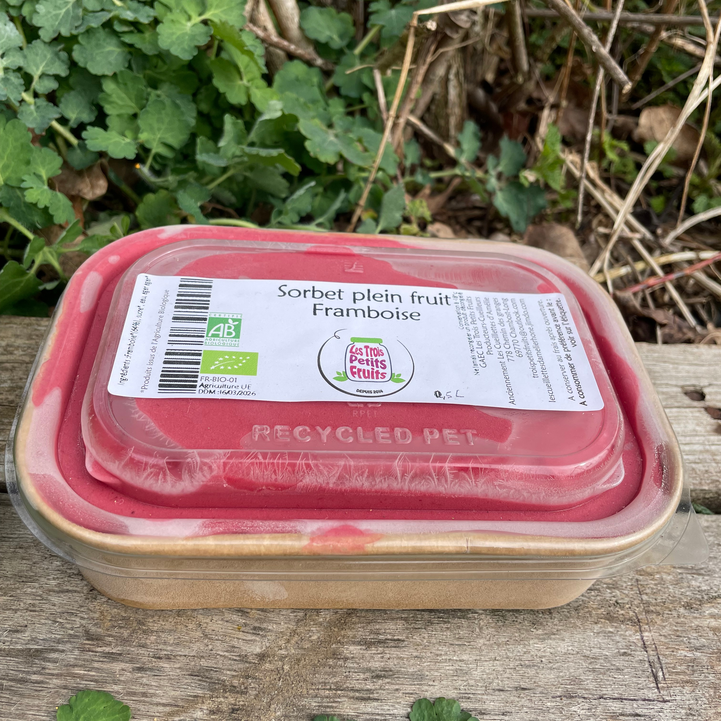 Sorbet plein fruit framboise 500ml