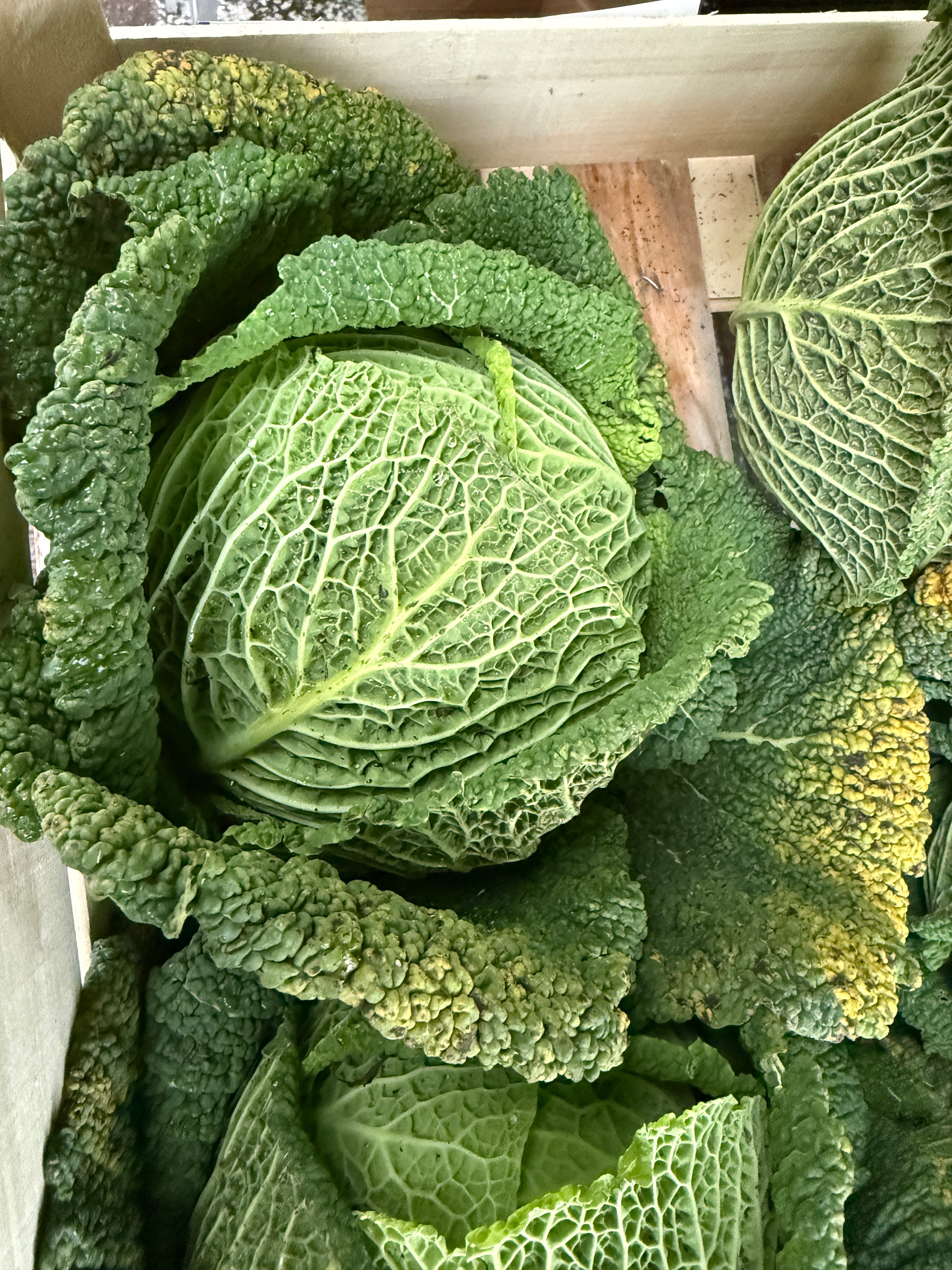 chou frisé 1kg environ