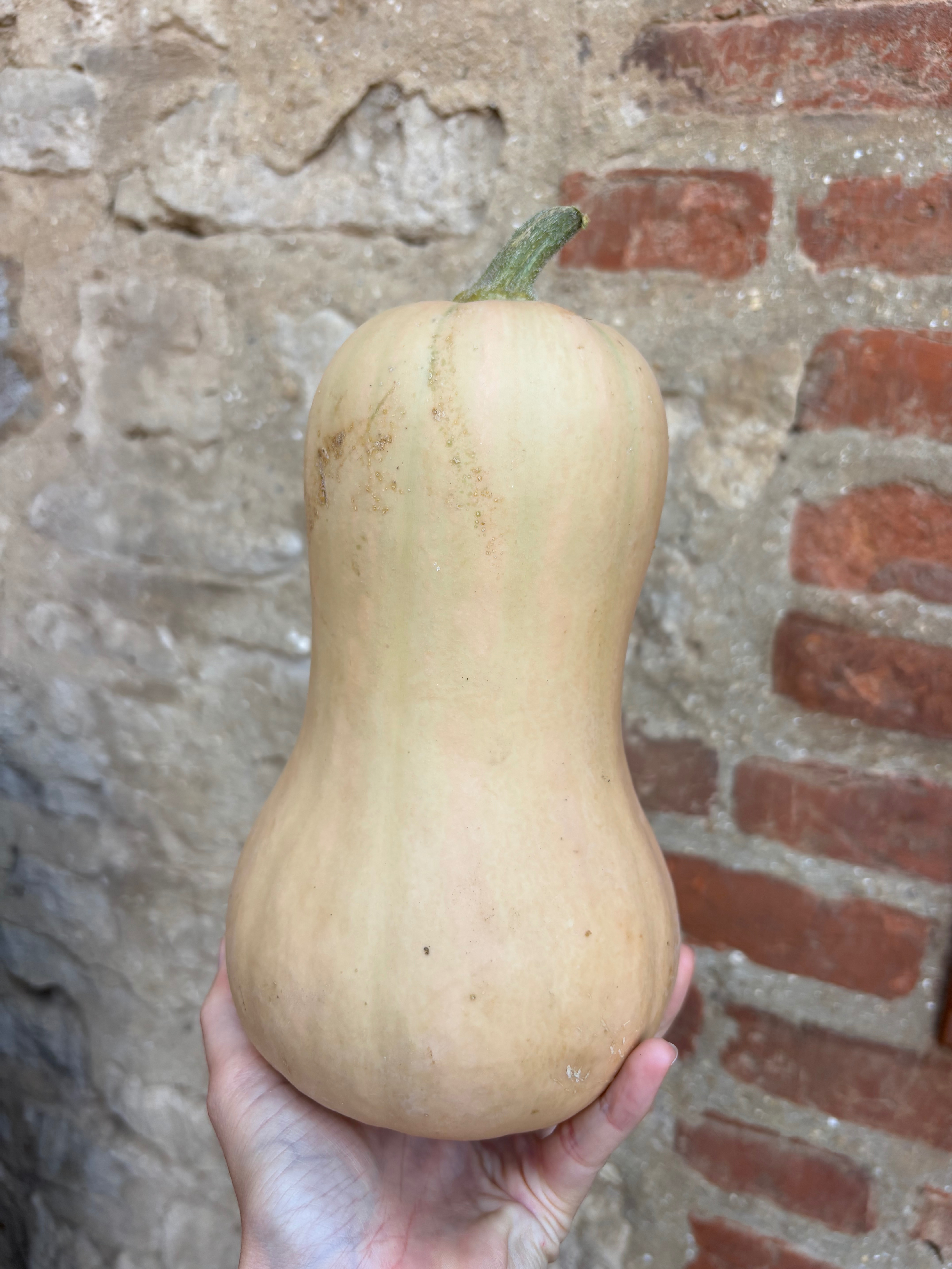 Butternut 1kg