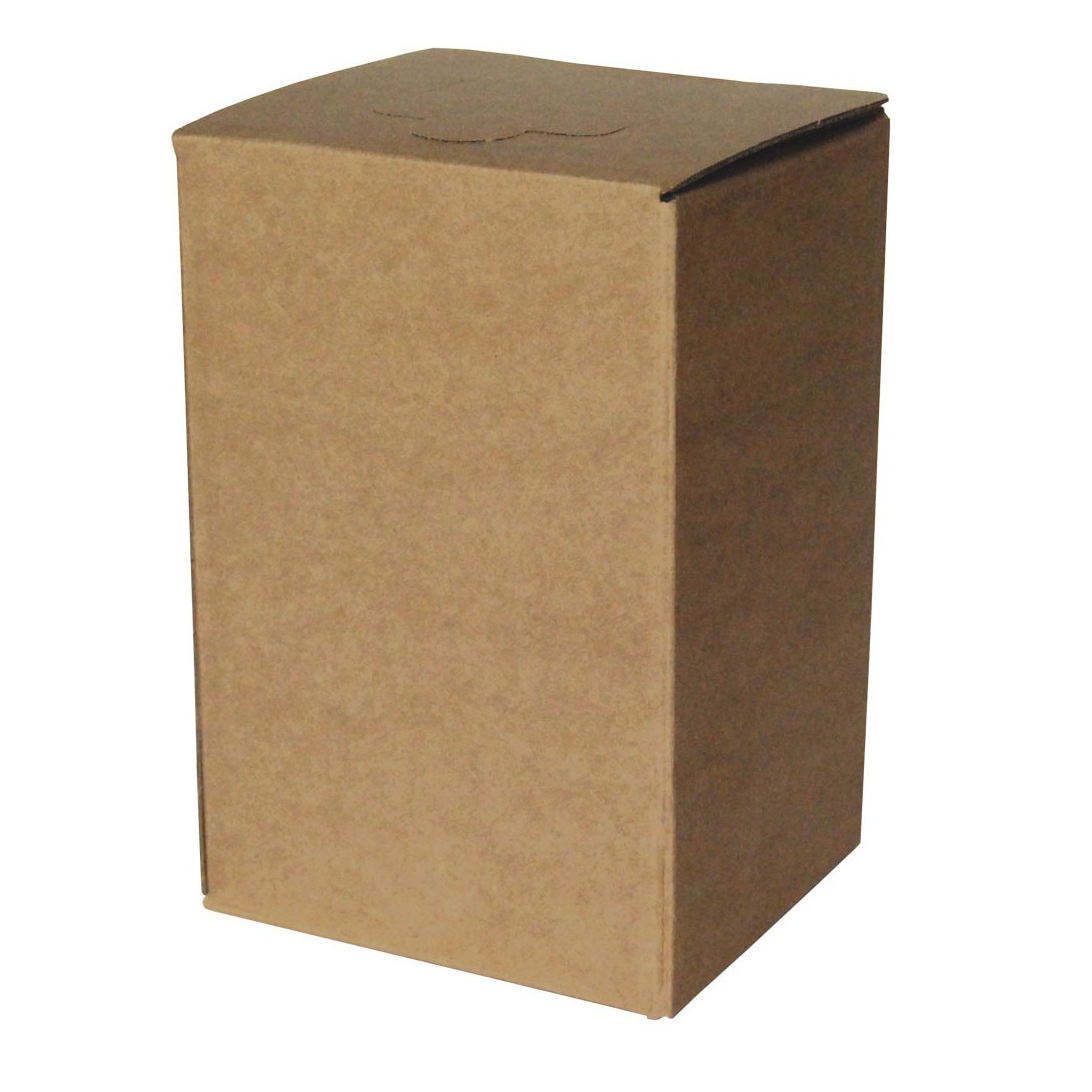 BIB 3 litres jus de pomme bio - 3,2kg