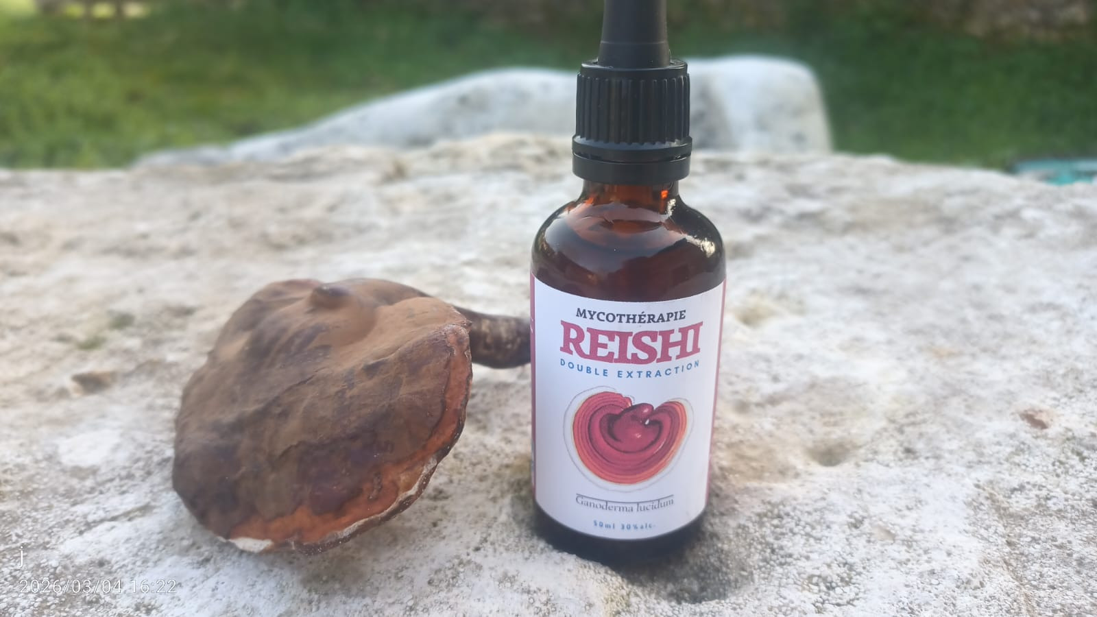 Extrait de Reishi - 30ml