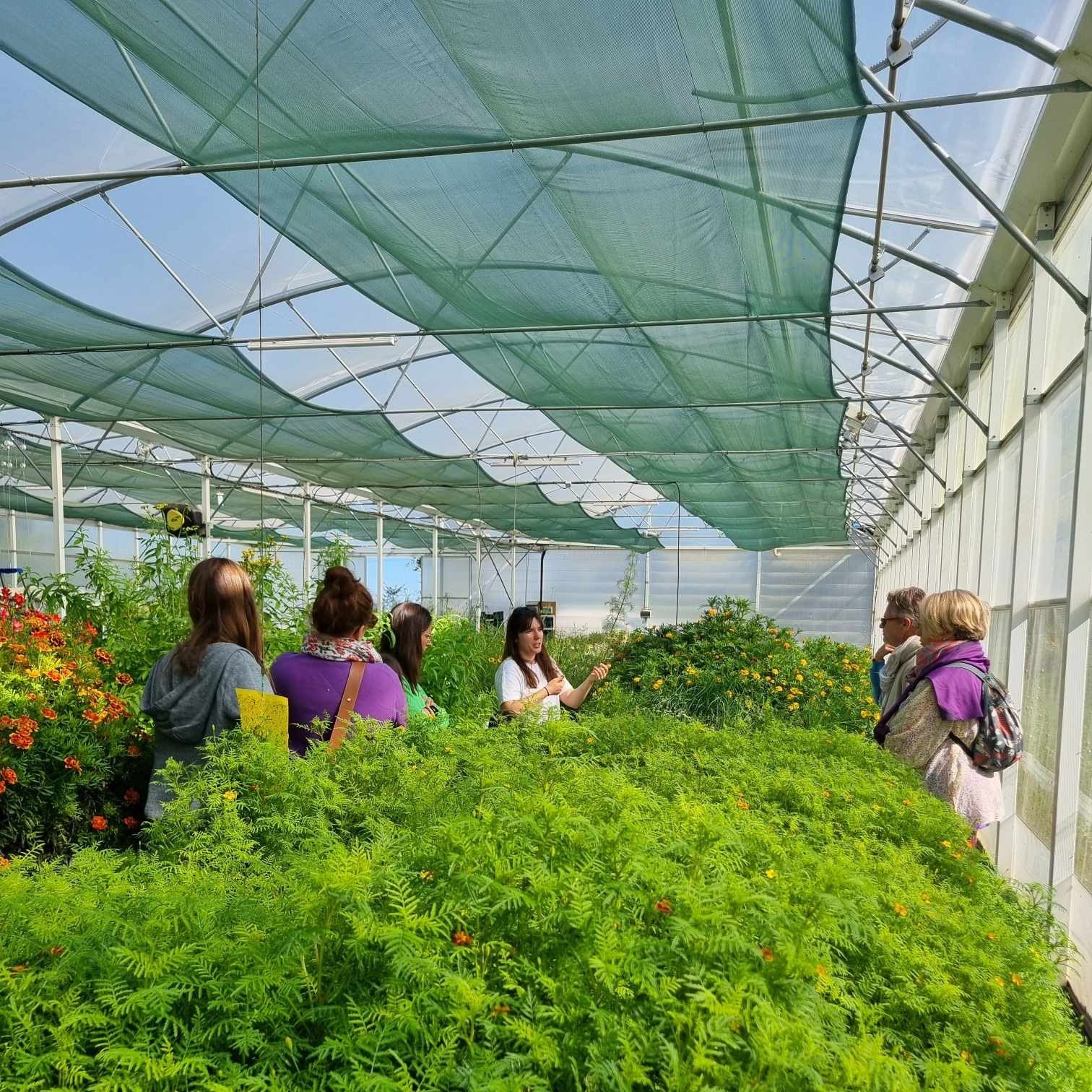 Visite guidée ADULTE