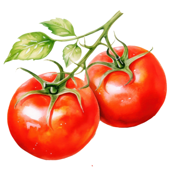 Tomates - 1kg
