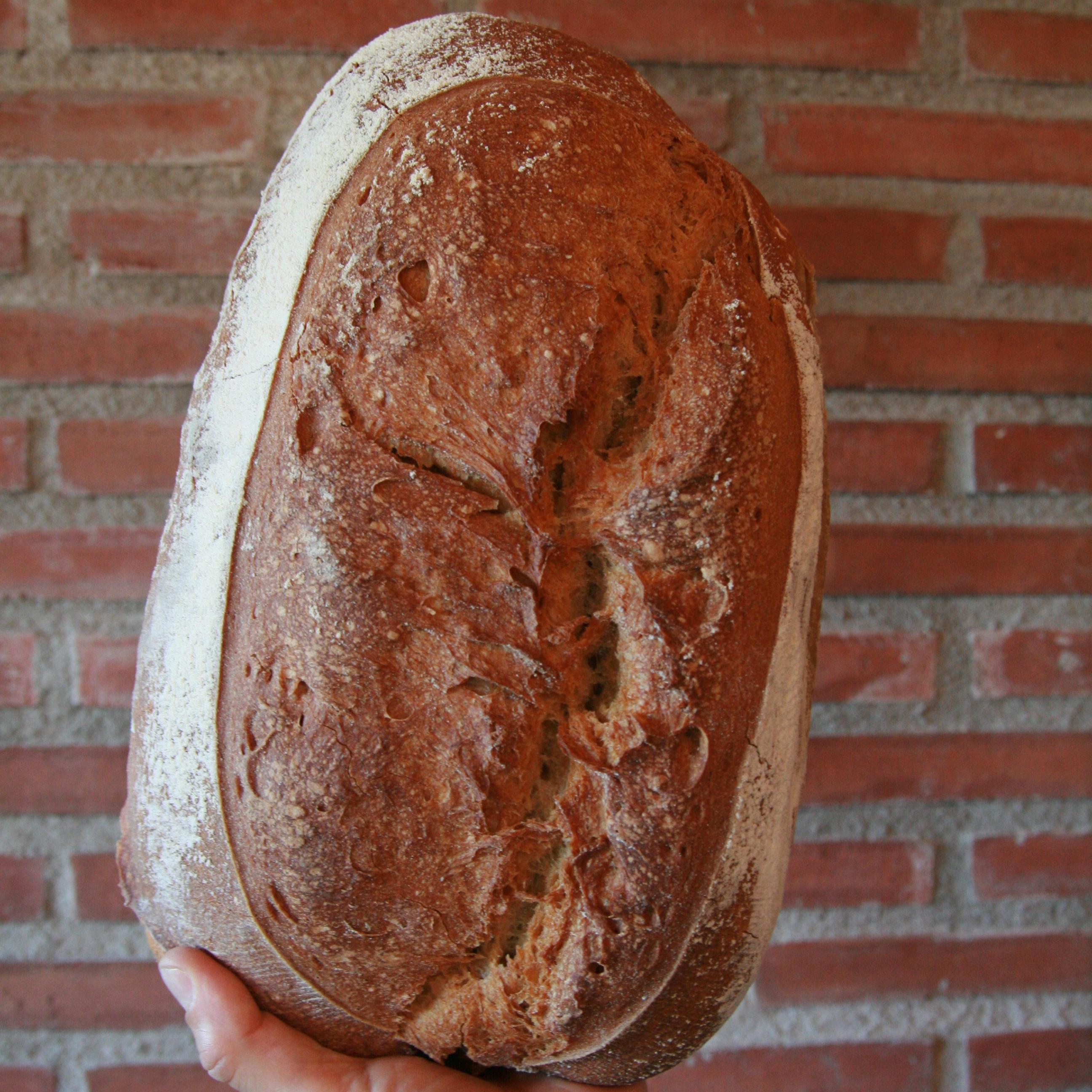 Pain Saissette de Provence