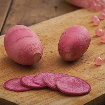 Radis rave rose Delicandy
