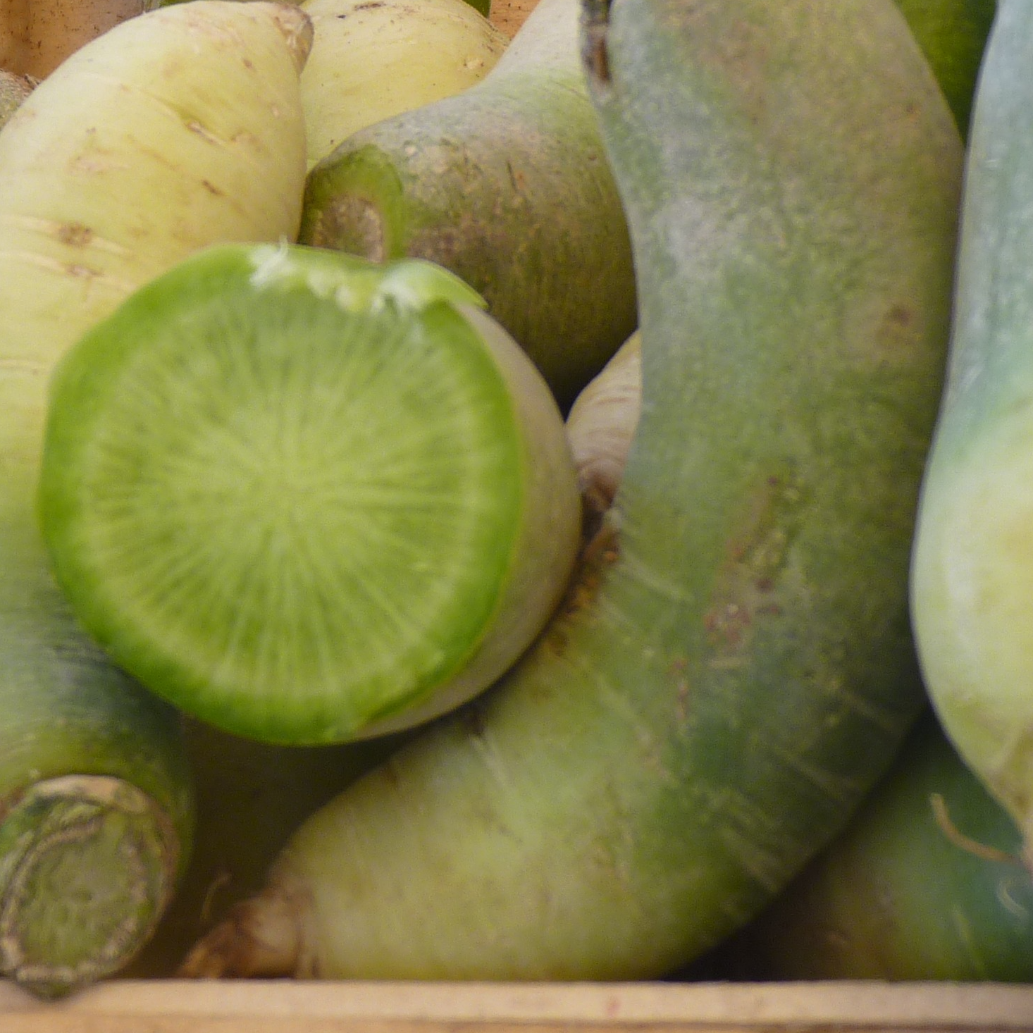 Radis Green Meat - 400g