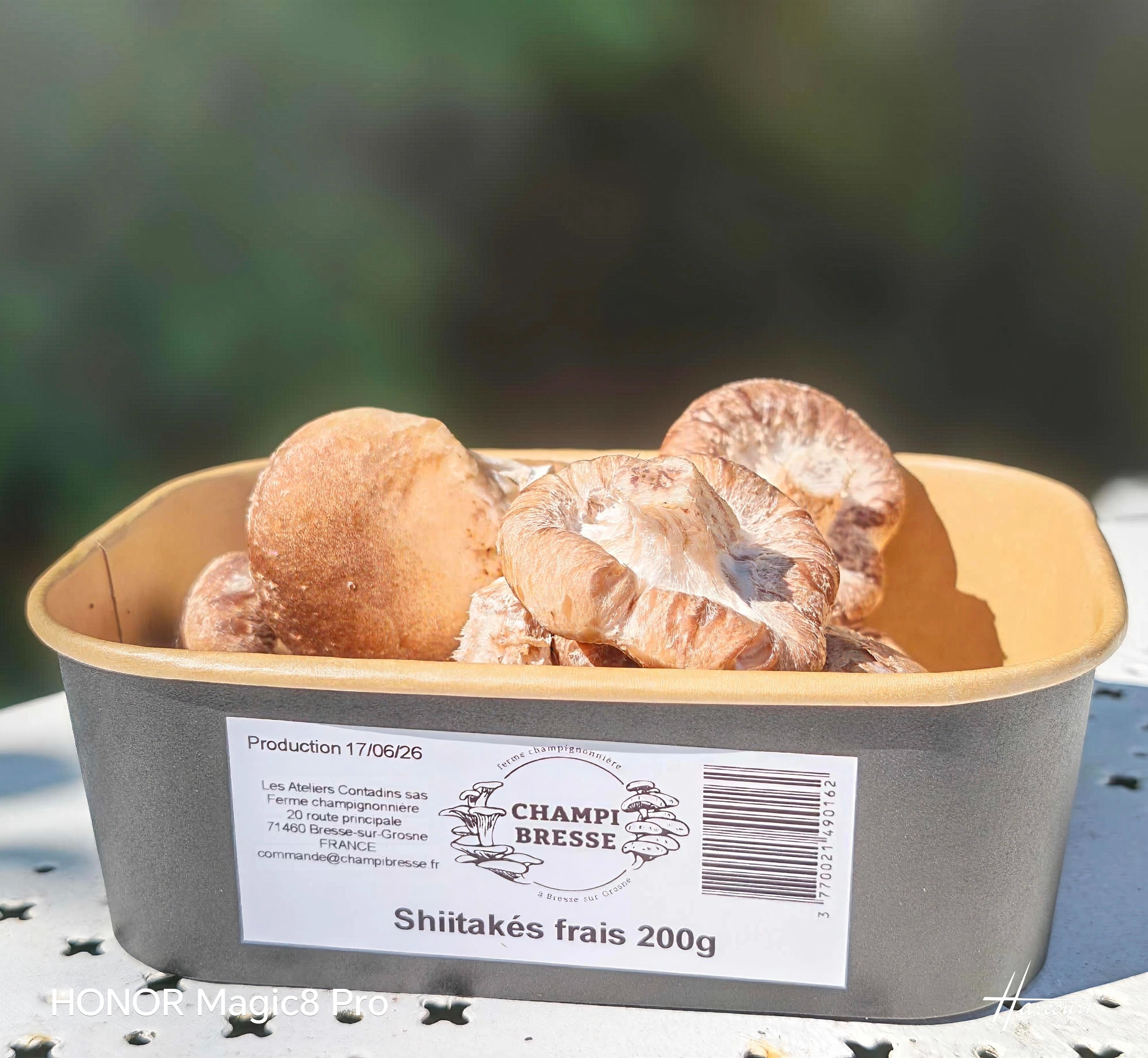 Shiitakés frais en barquette - 200g