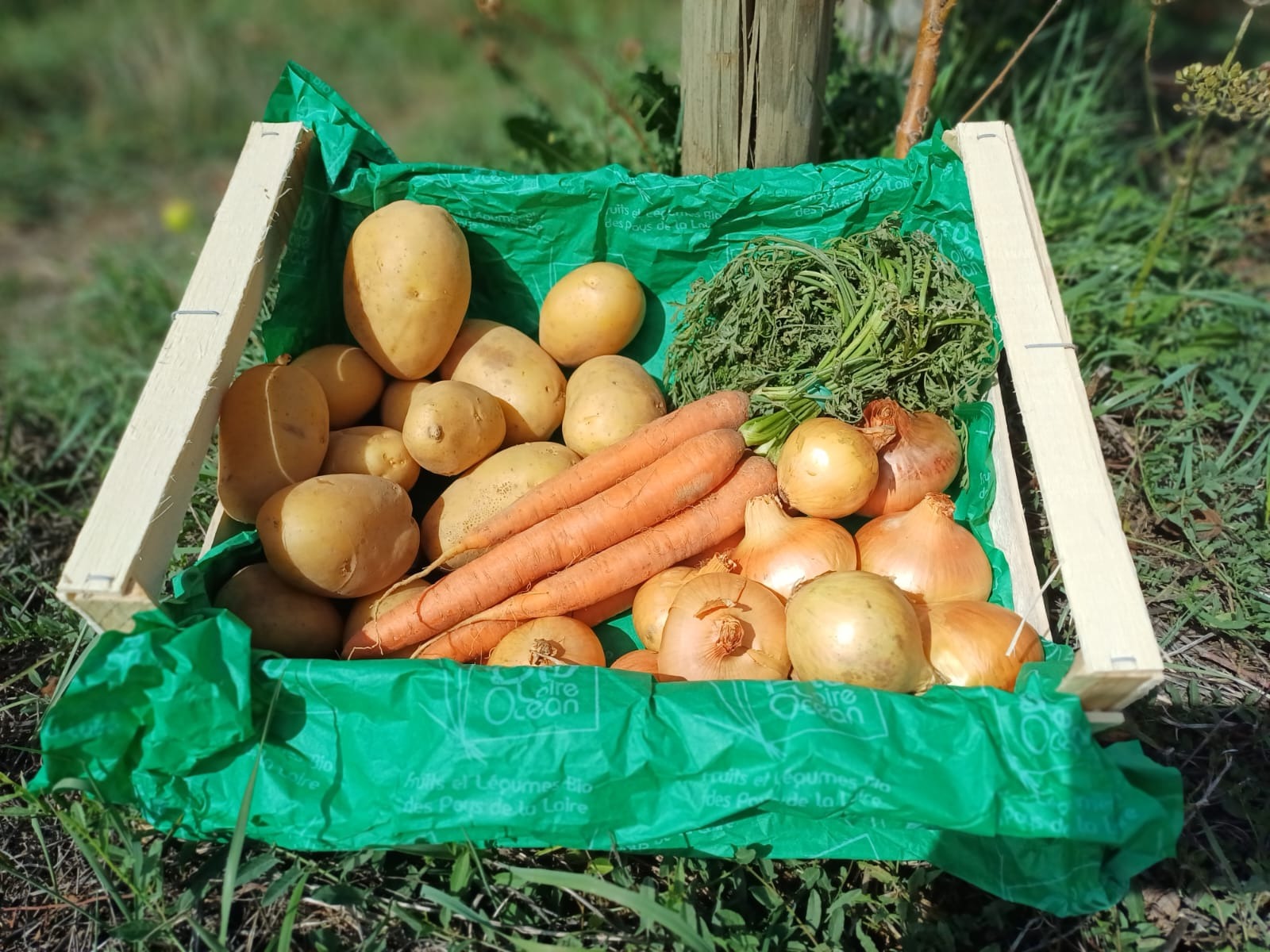 Petit Panier
