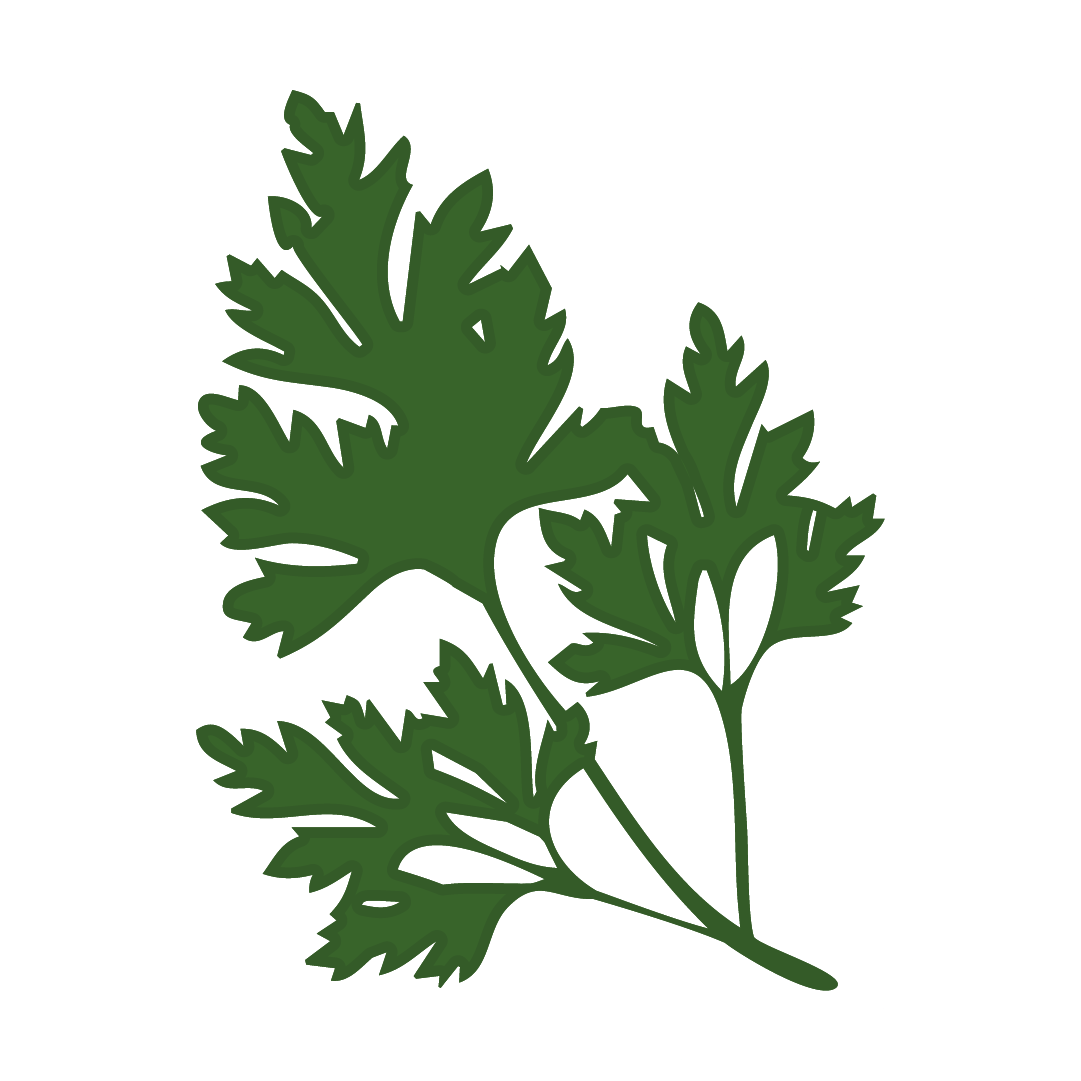 Aromatique Persil plat