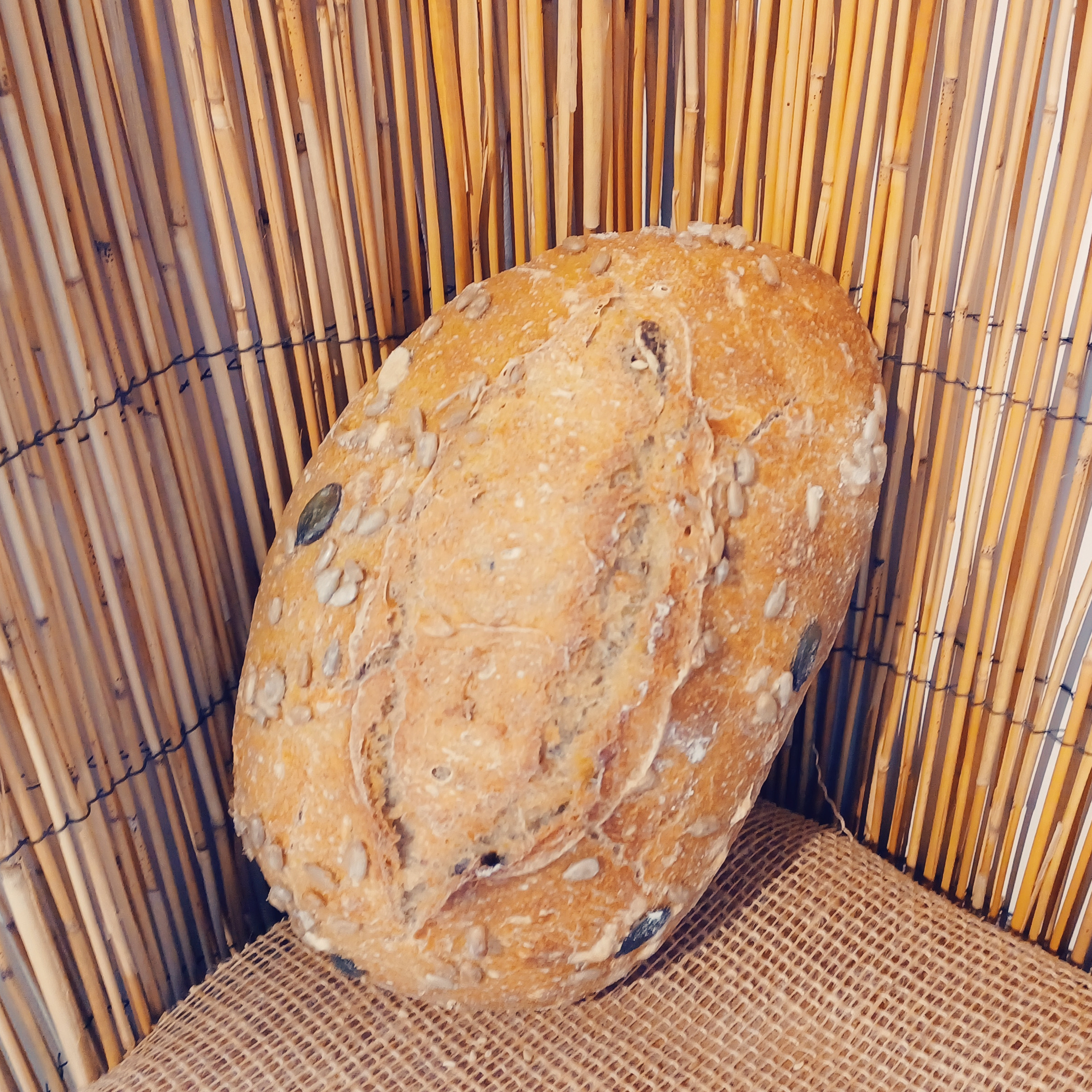 Pain Courge Tournesol - 500g