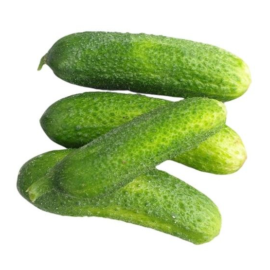 Cornichon (gros)