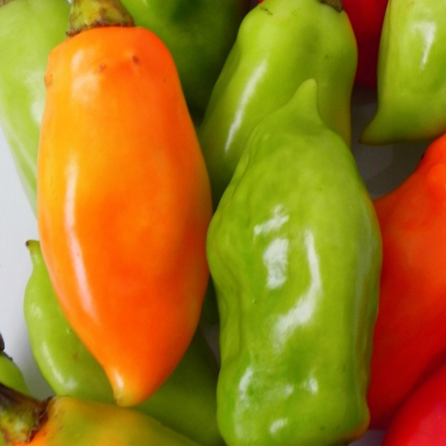 Piment végétarien frais (x5 pièces)