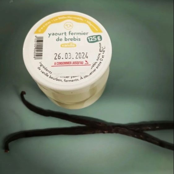 Yaourt de brebis saveur vanille - à l'unité - 125g