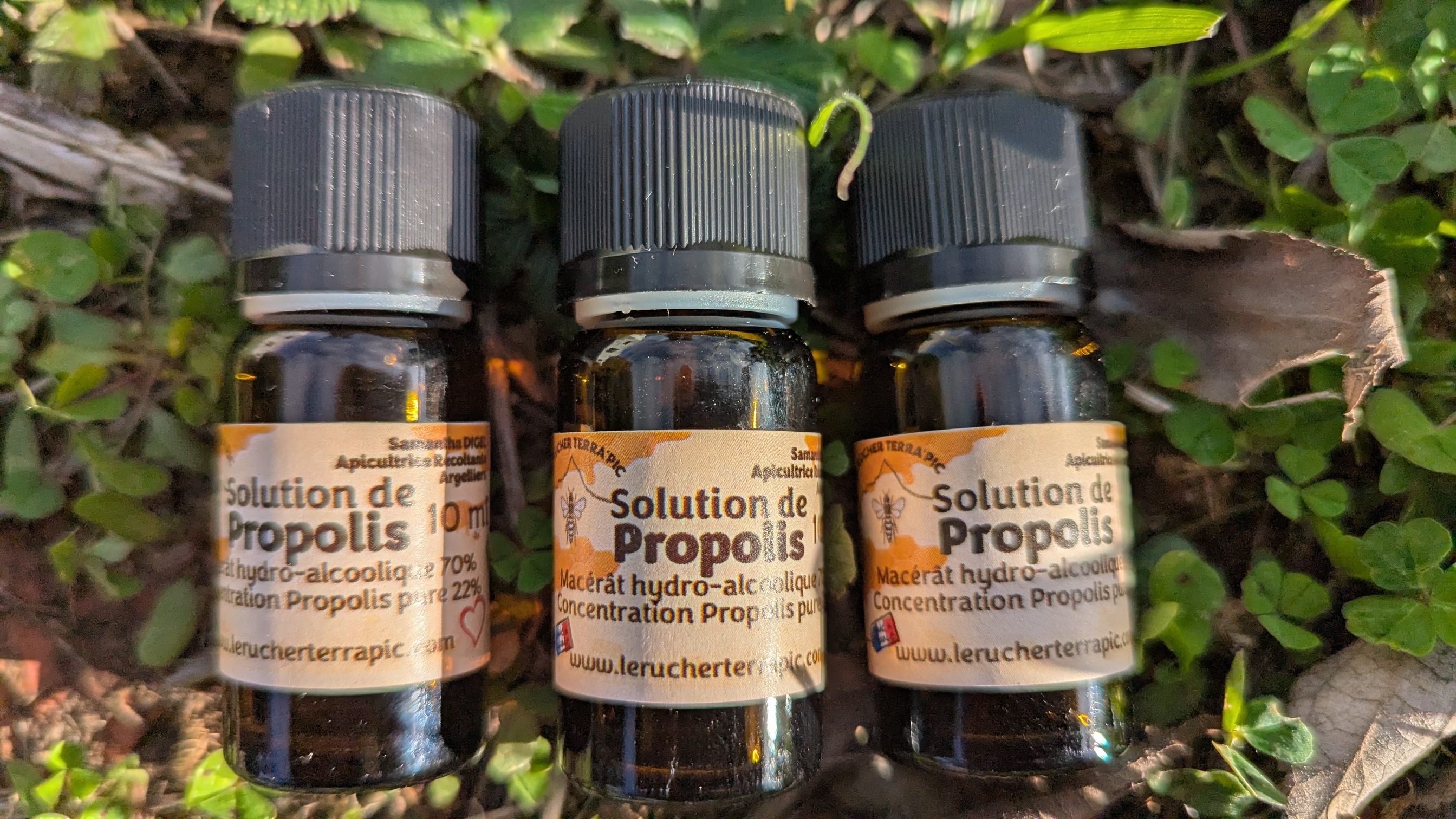 Solution De Propolis