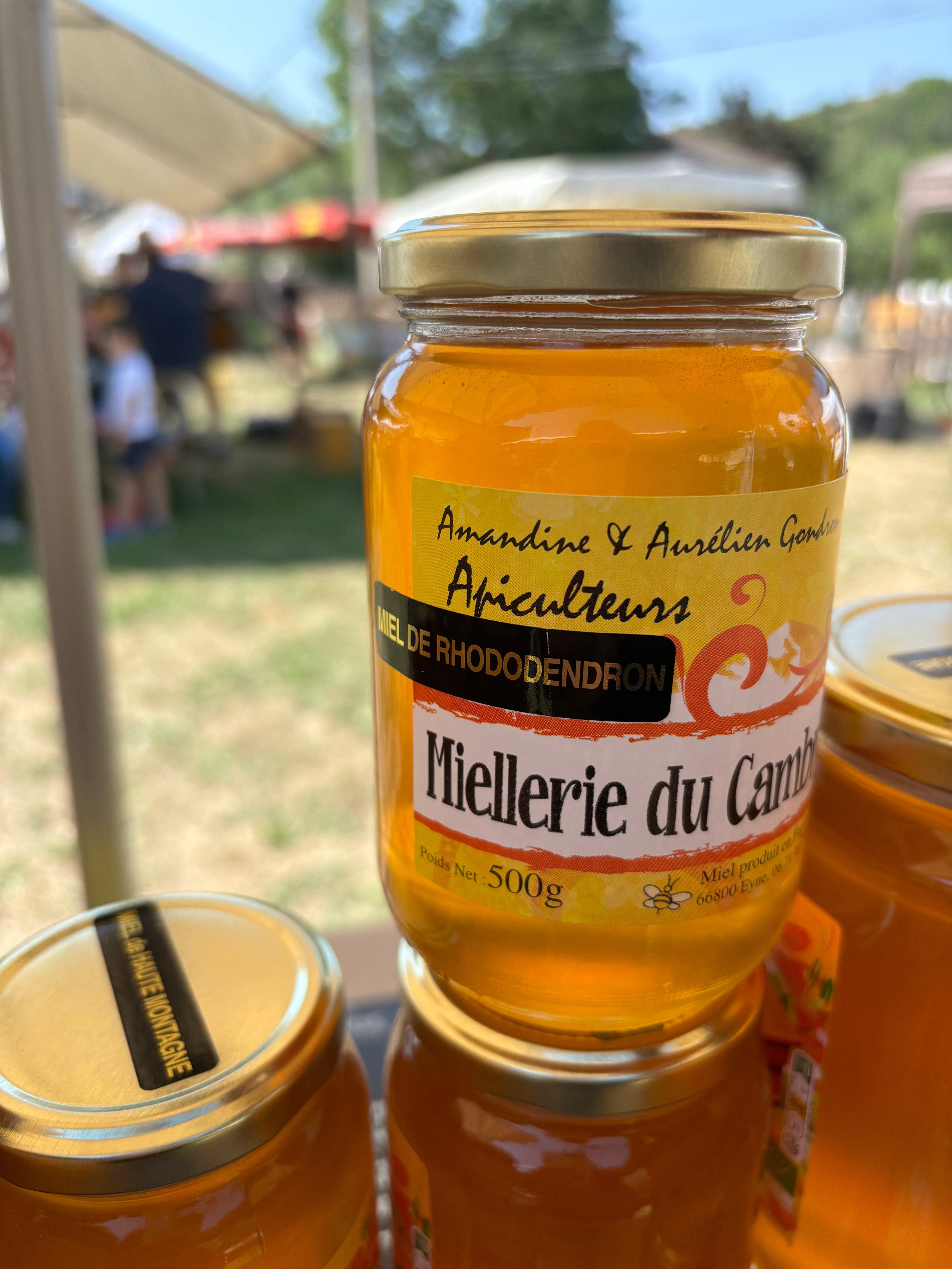 Miel de haute montagne/Rhododendron