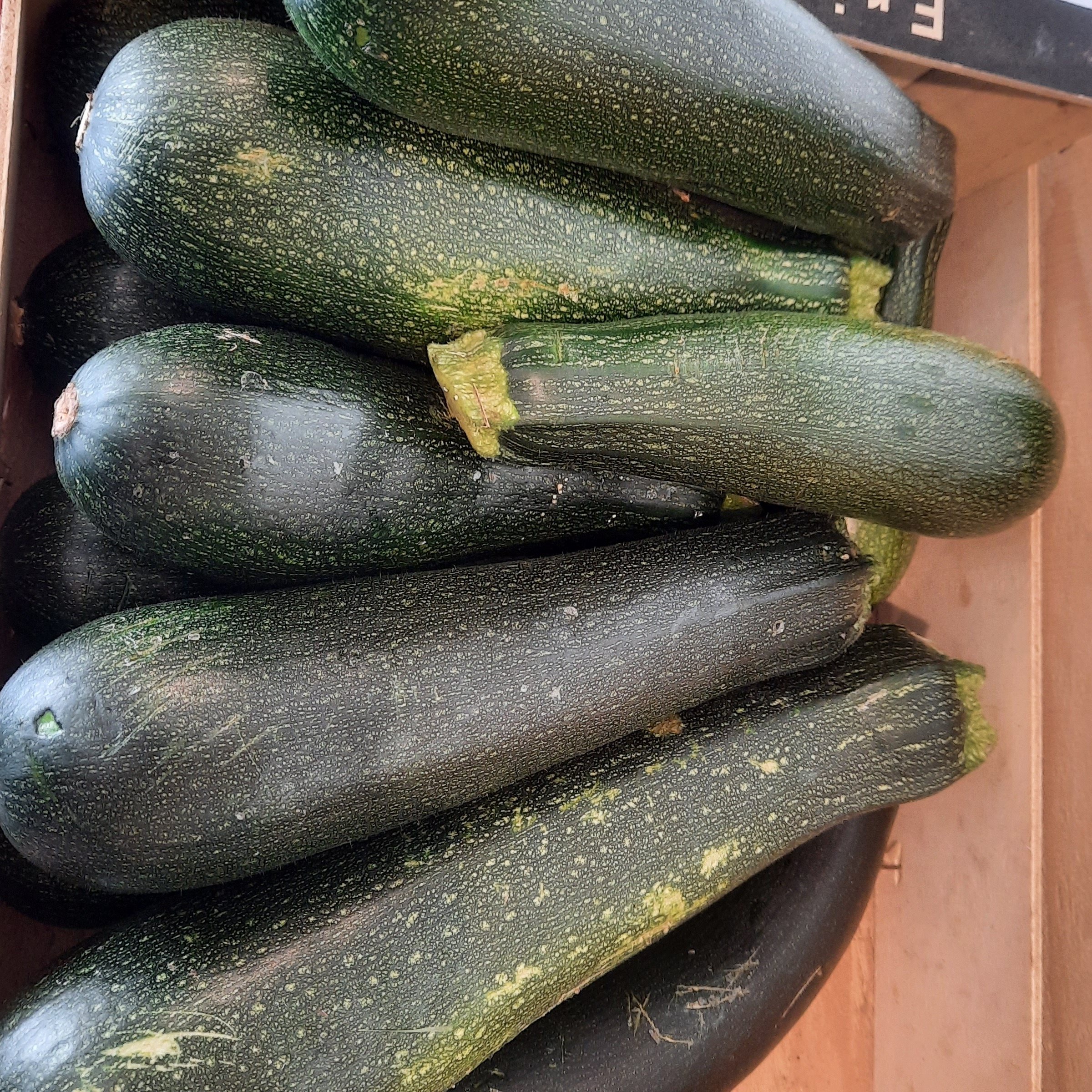 Courgettes