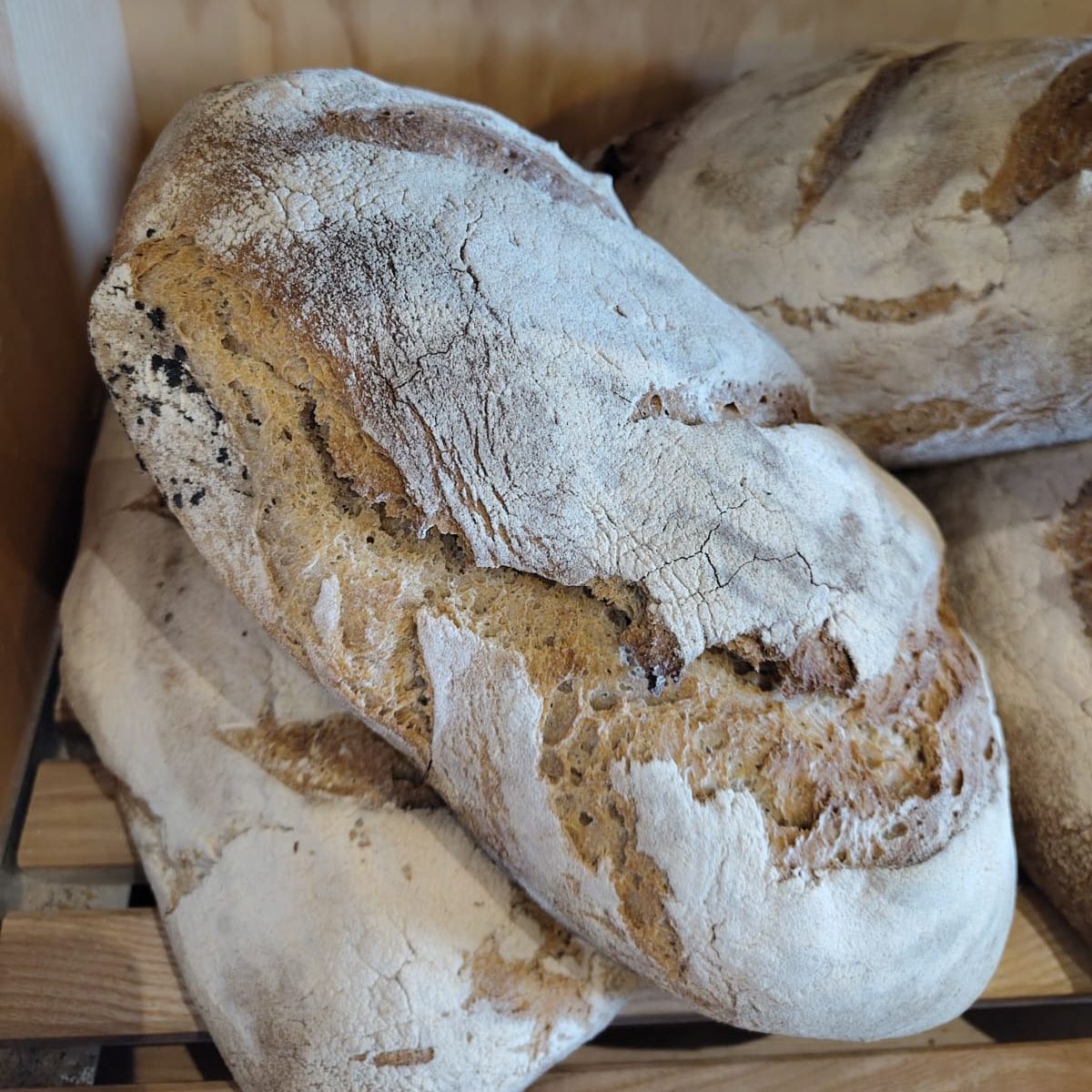 Pain nature - 1kg