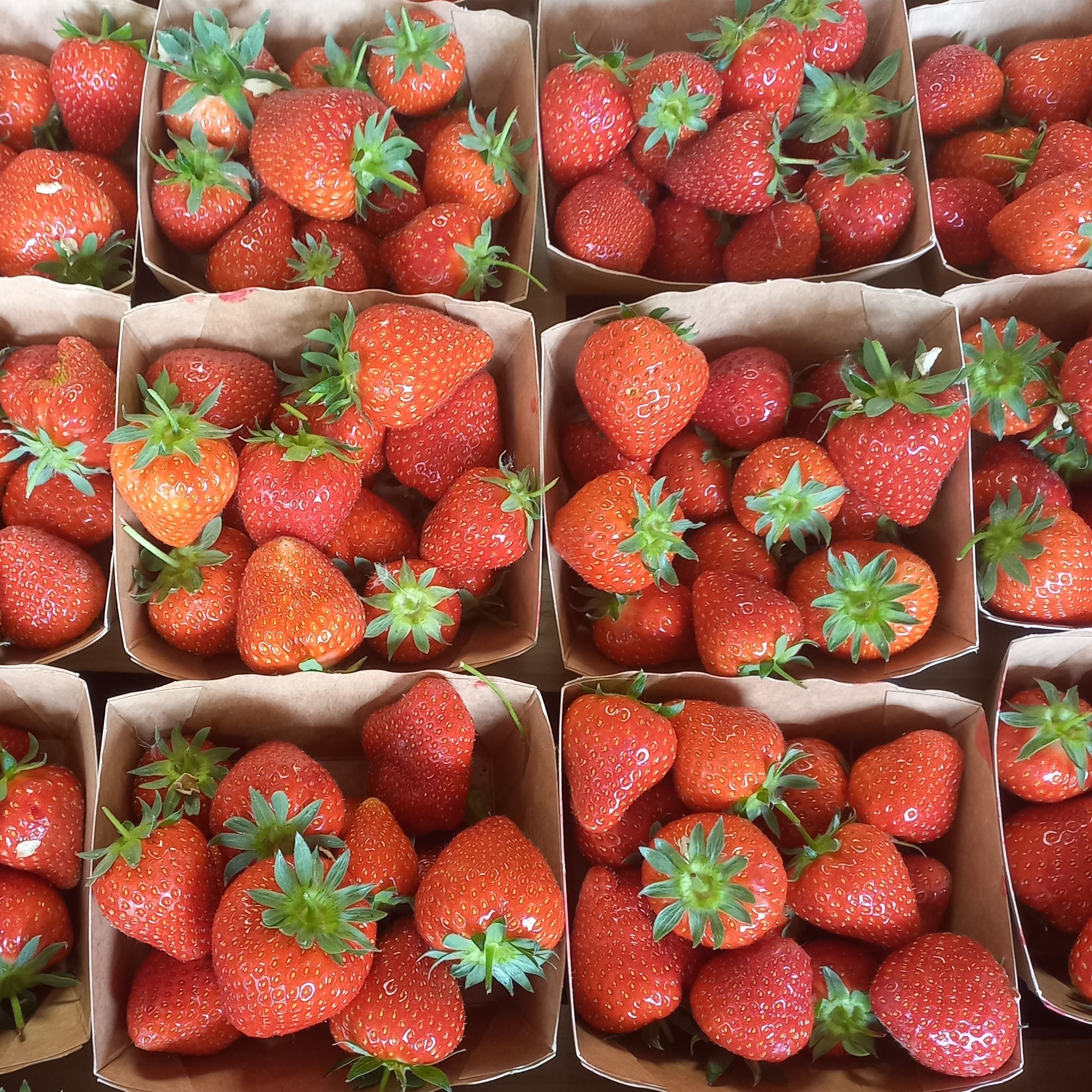 Fraises - 250g