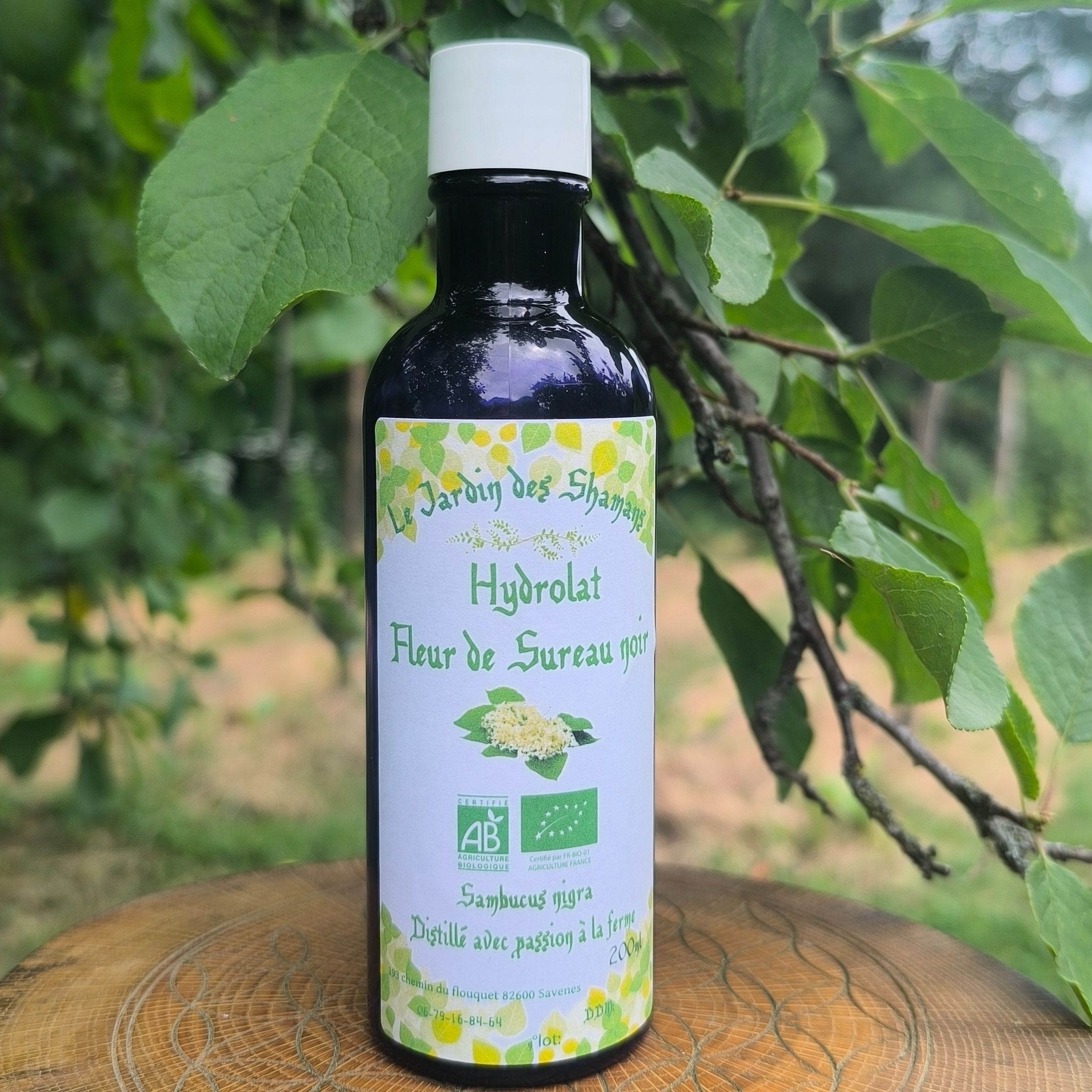 Hydrolat fleur de Sureau noir "sambucus nigra"