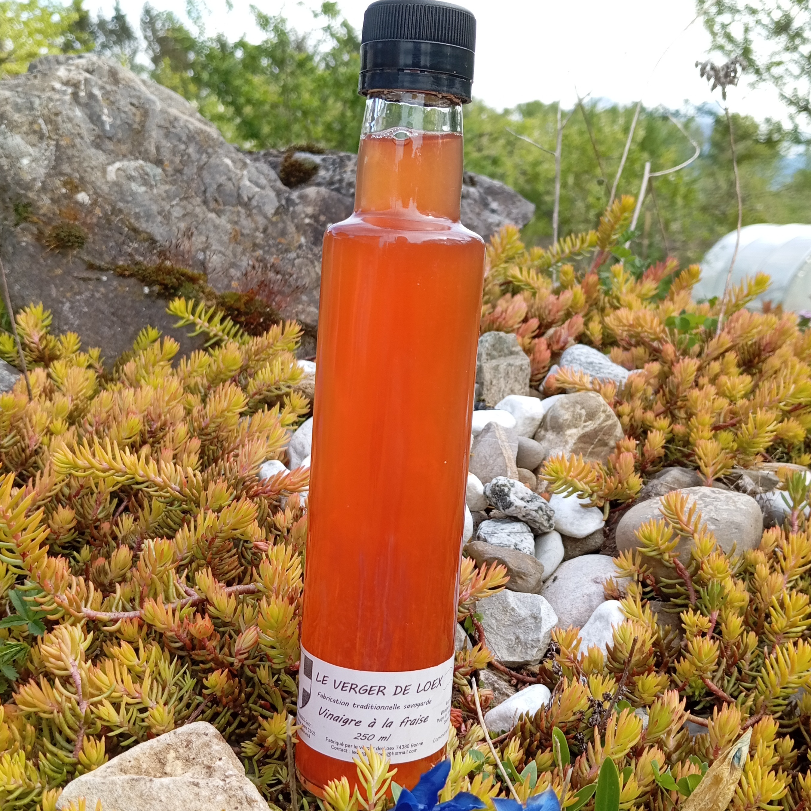 Vinaigre aux fraises BIO du verger - 250ml - 250ml