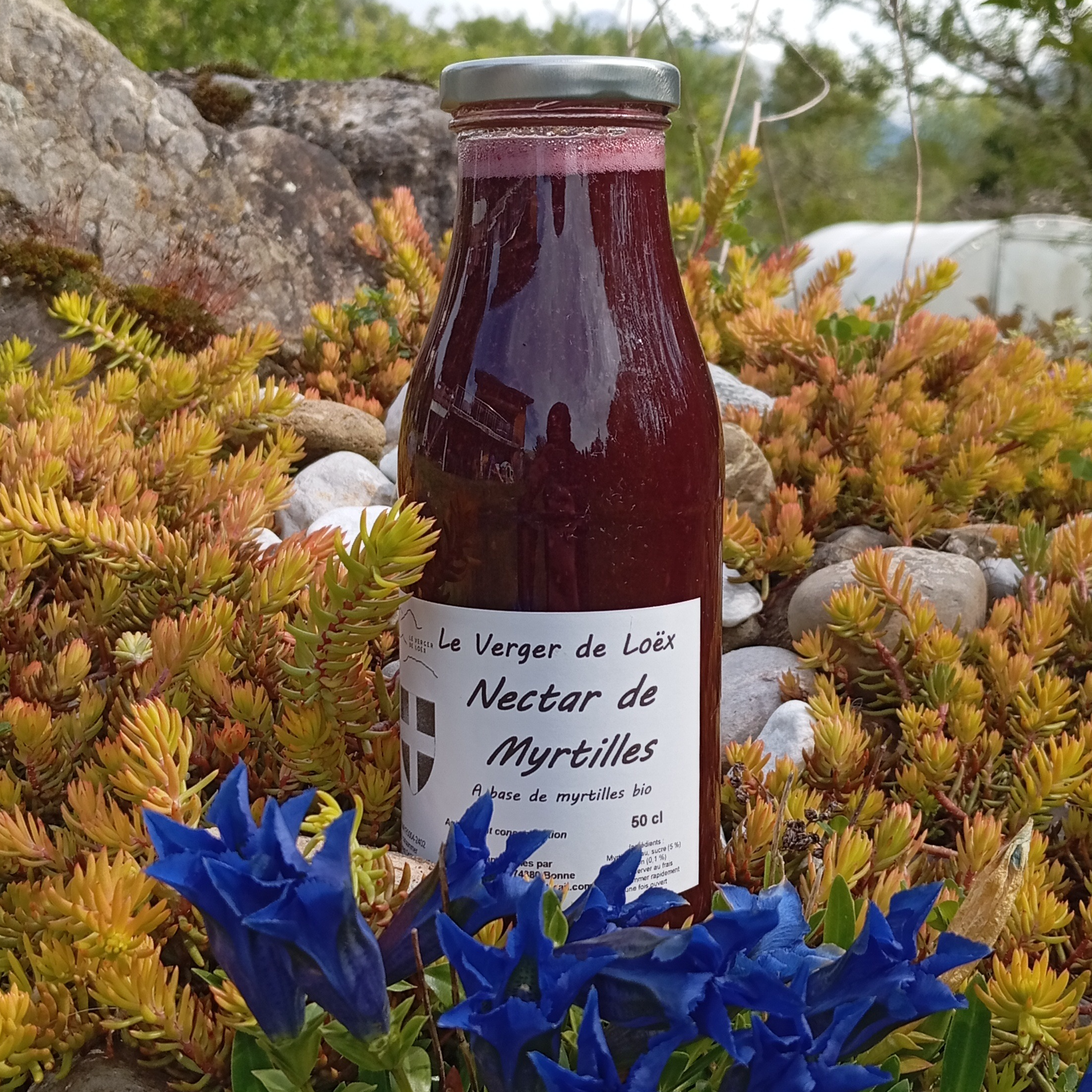 Nectar de myrtilles sauvages BIO - 0.5L - 0,5l