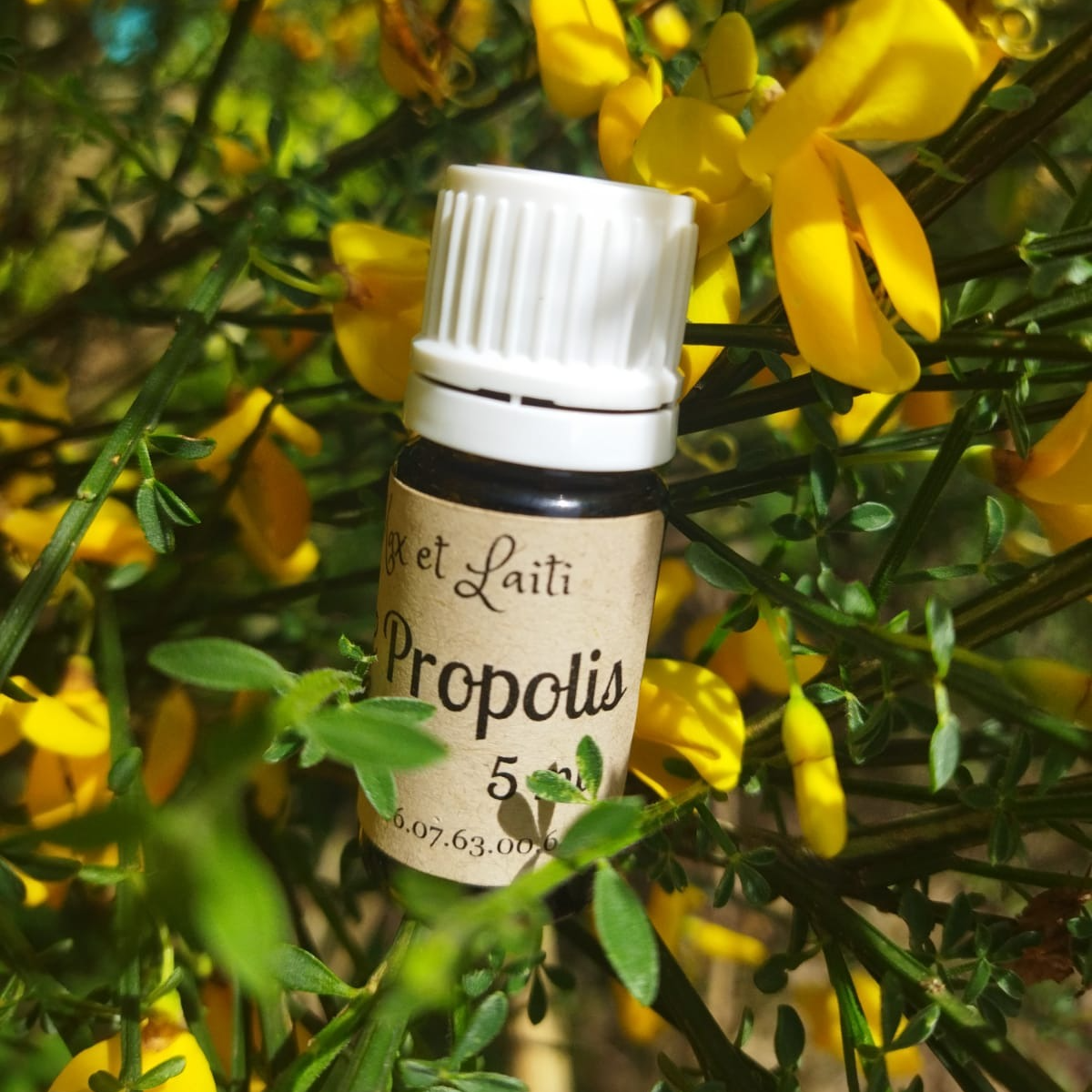 Macerat de propolis (teinture-mère) - 5ml