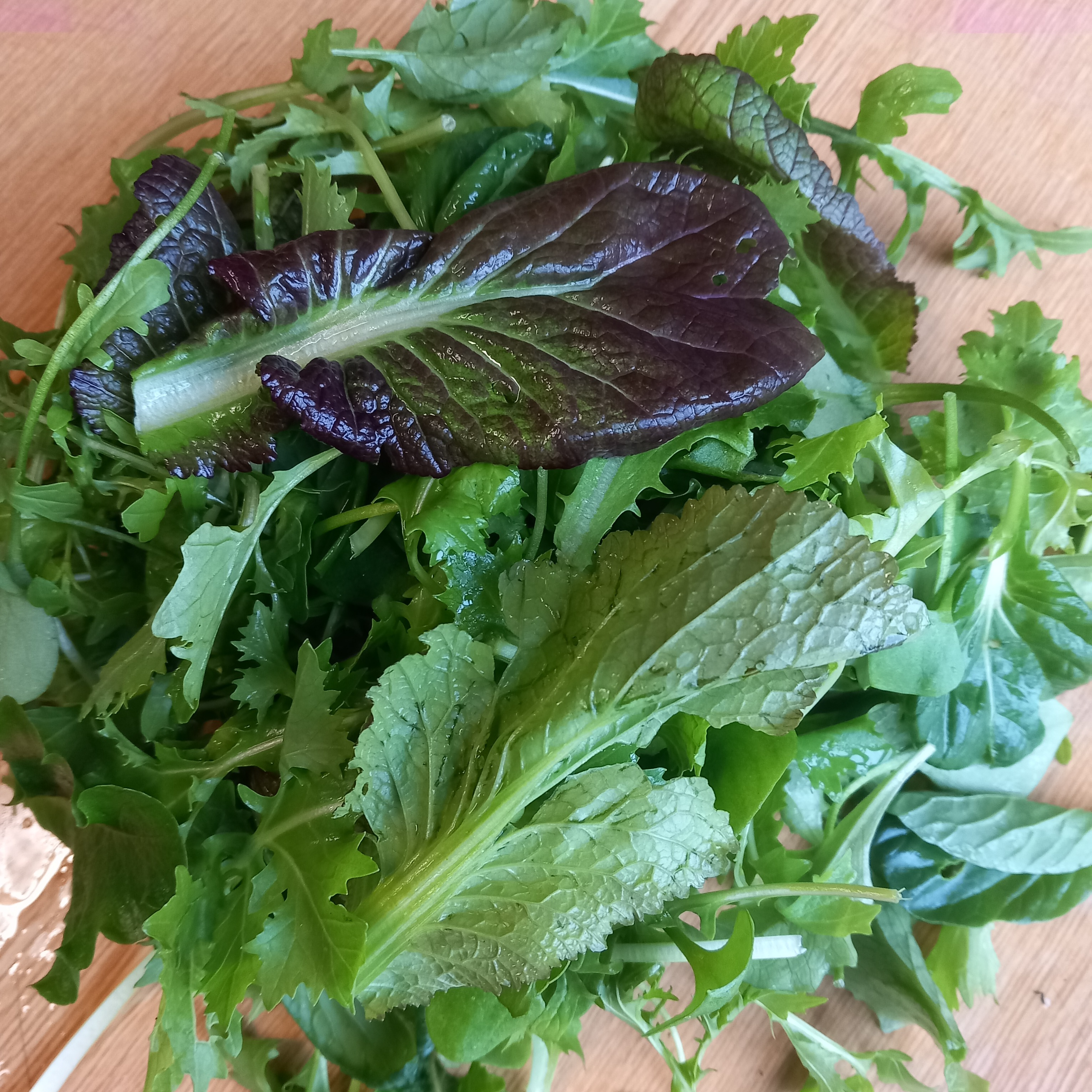 Mesclun