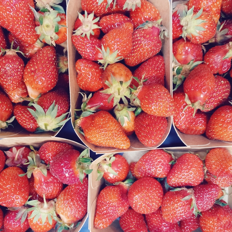 Barquette de fraises - CHAMP DES PAPILLEs - 250g