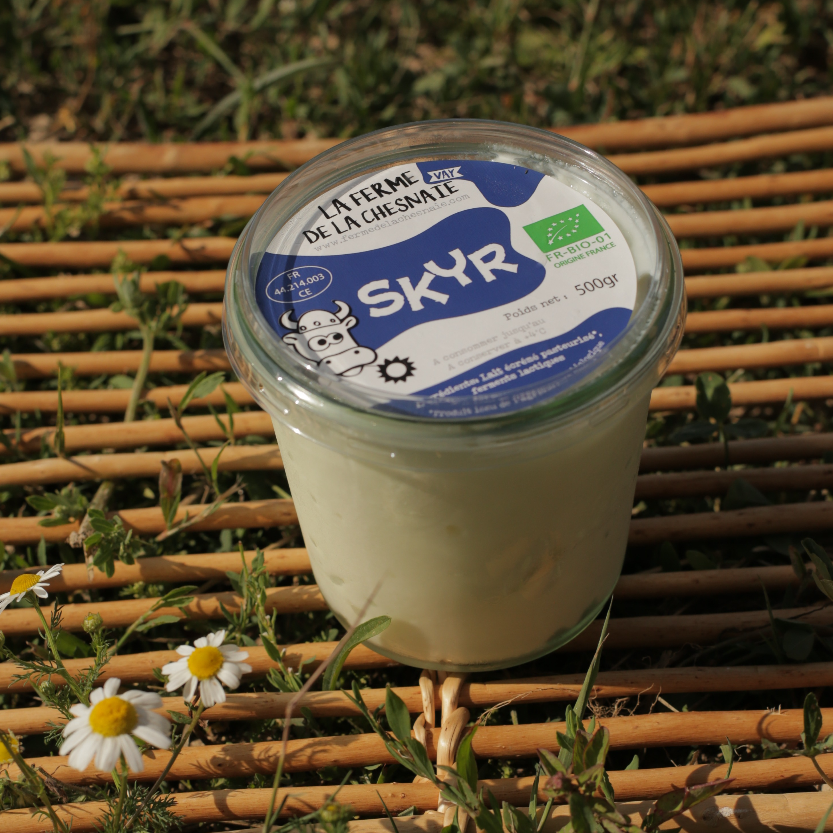 SKYR spécialité laitière nature - 500g