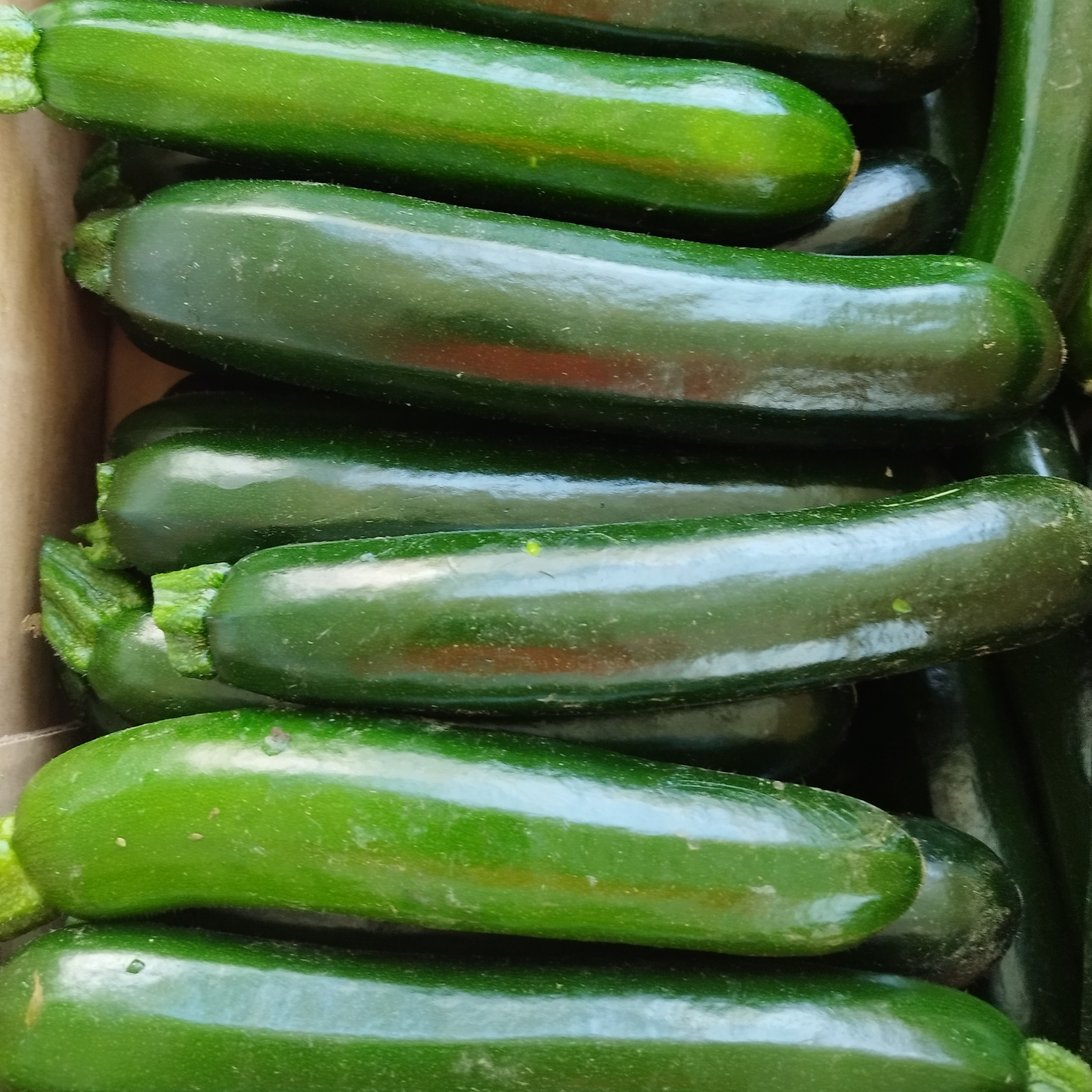Courgette 1 kg