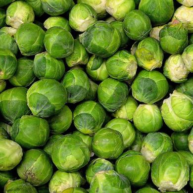 Chou Bruxelles Bio