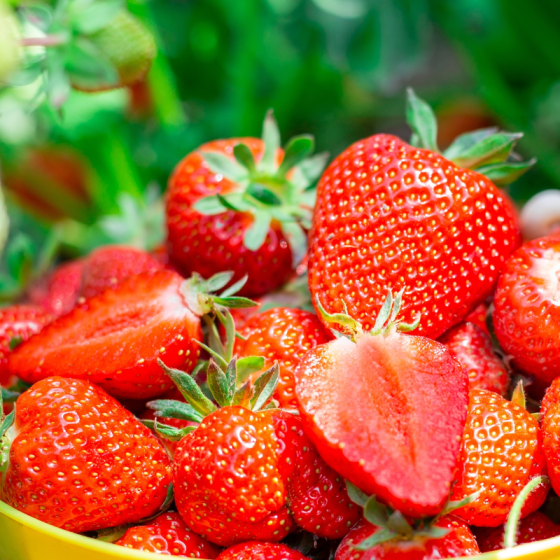 Fraise ronde 'Clery' - 250g