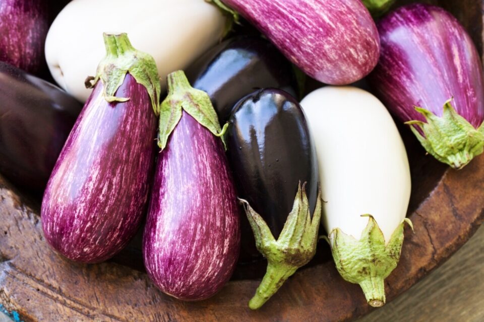 Aubergines : mixte de couleurs