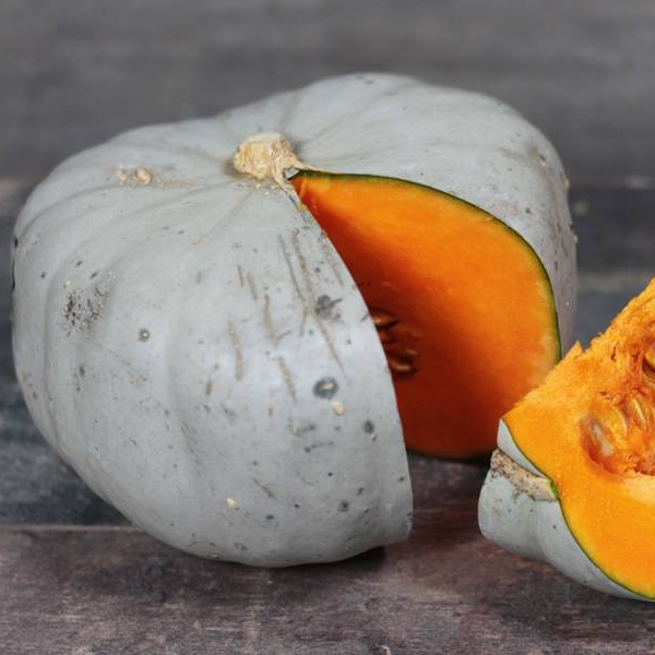 Potiron Bleu de Hongrie - 1,3kg