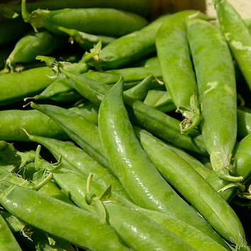 PETITS POIS au kg