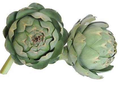 Artichaut blanc (Au kg)