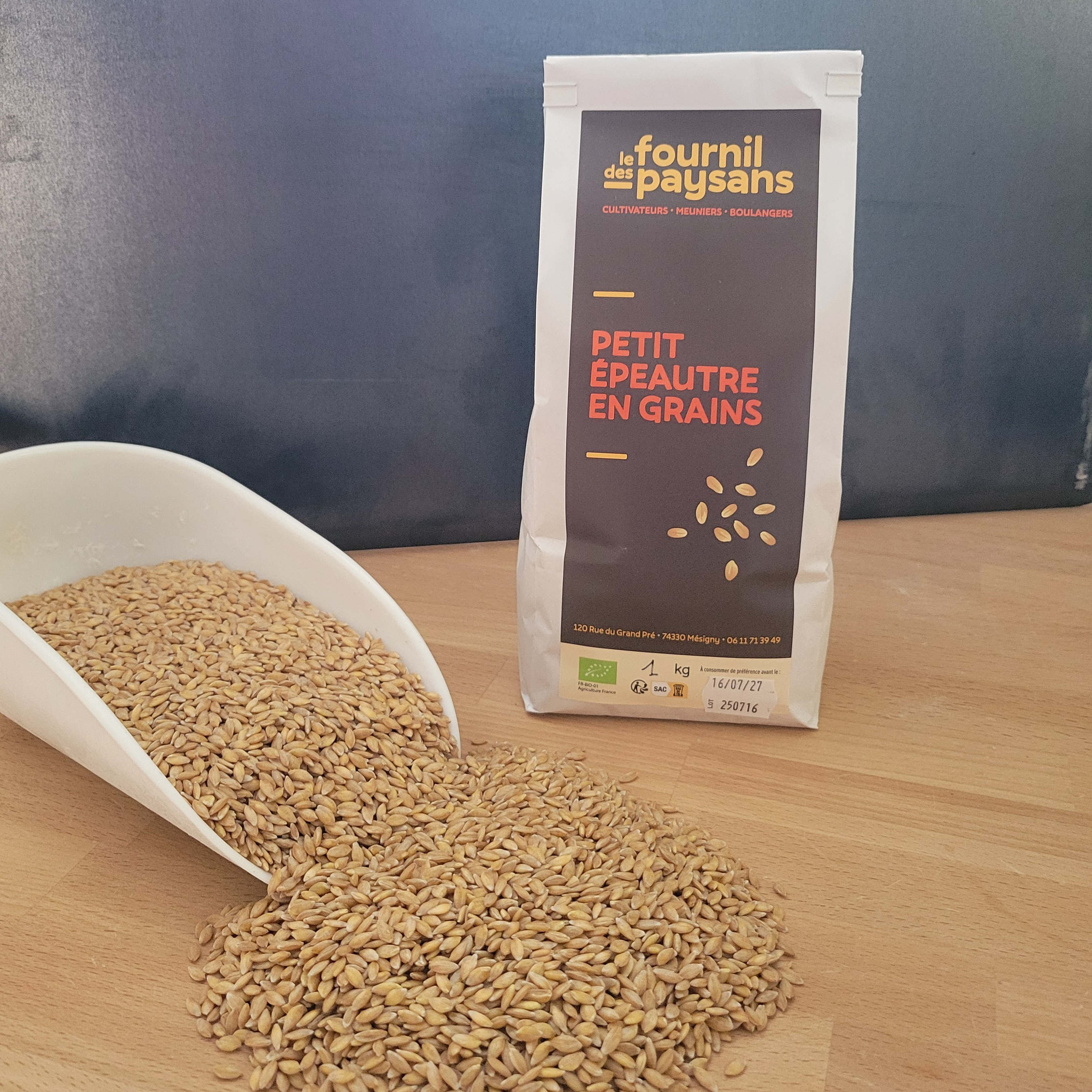 Petit Epeautre en grains