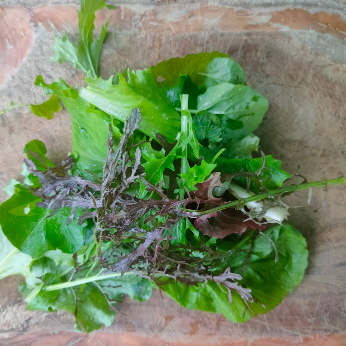 Mesclun (200g)