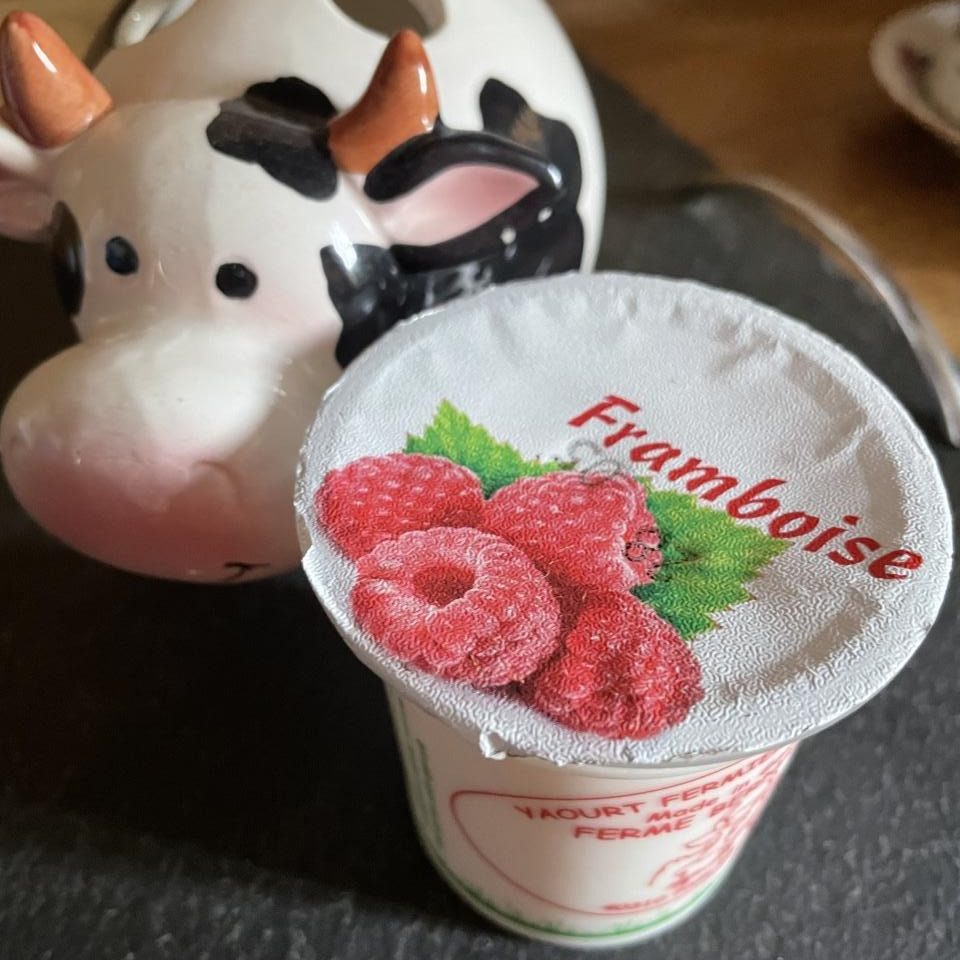 YAOURT AROMATISE FRAMBOISE - 12cl