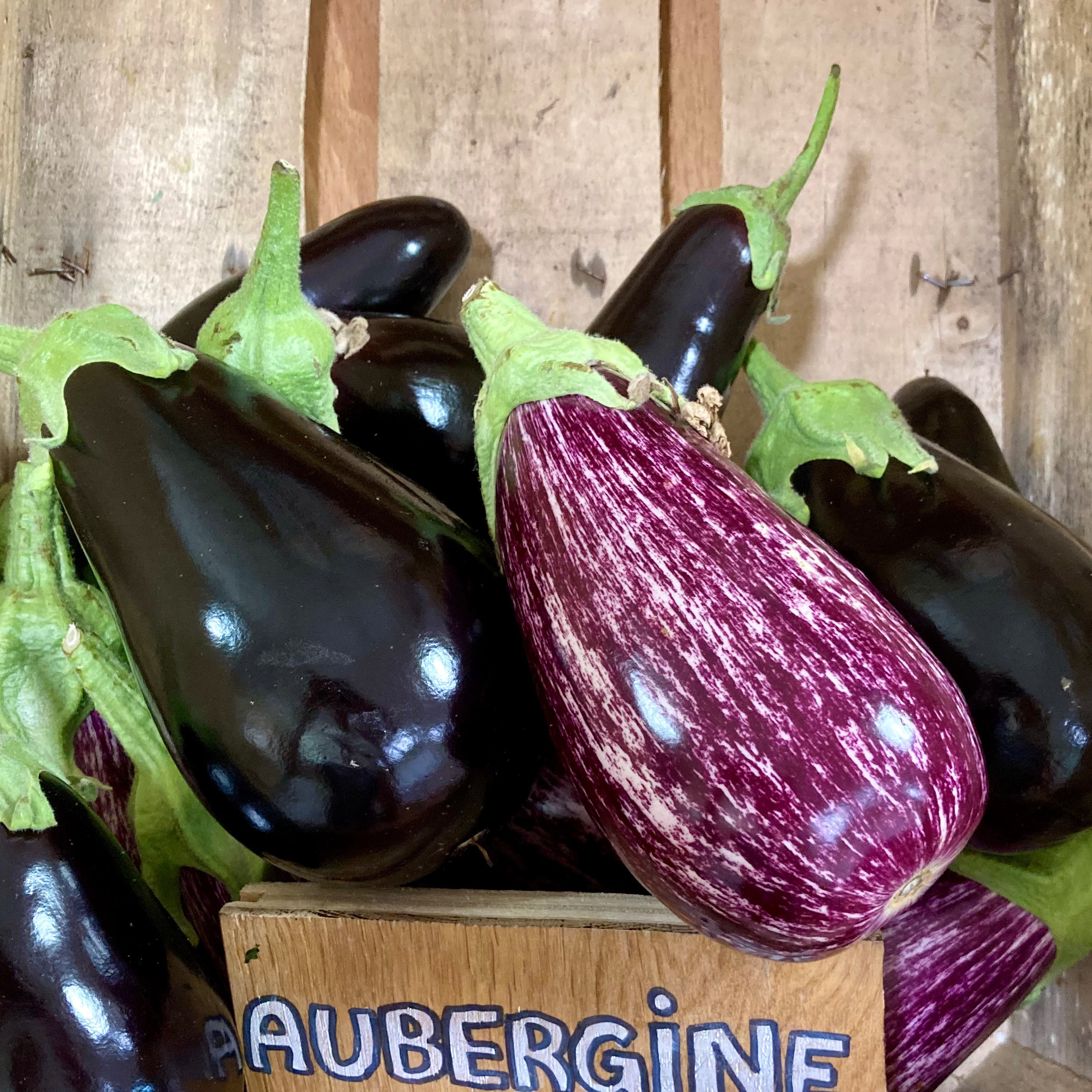Aubergine (Kg)