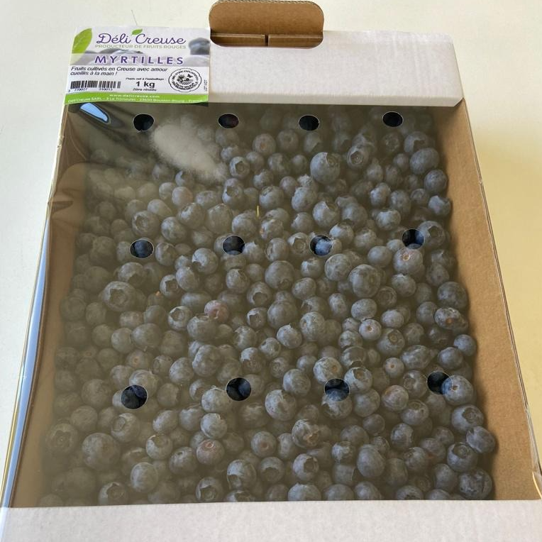 Plateau Vrac 1 Kg - Myrtilles cultivées fraiches - 1kg