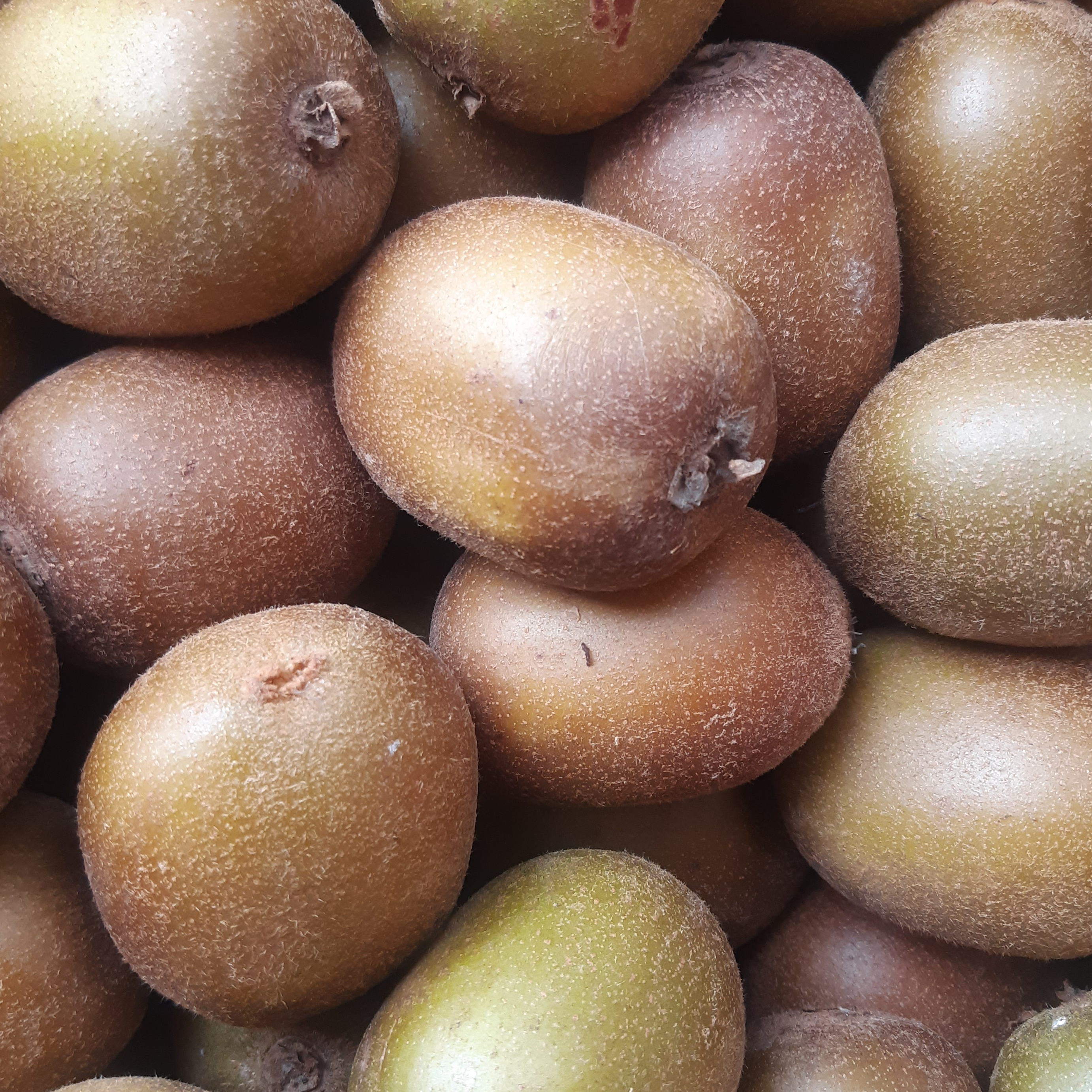 KIWI JAUNE - 500g