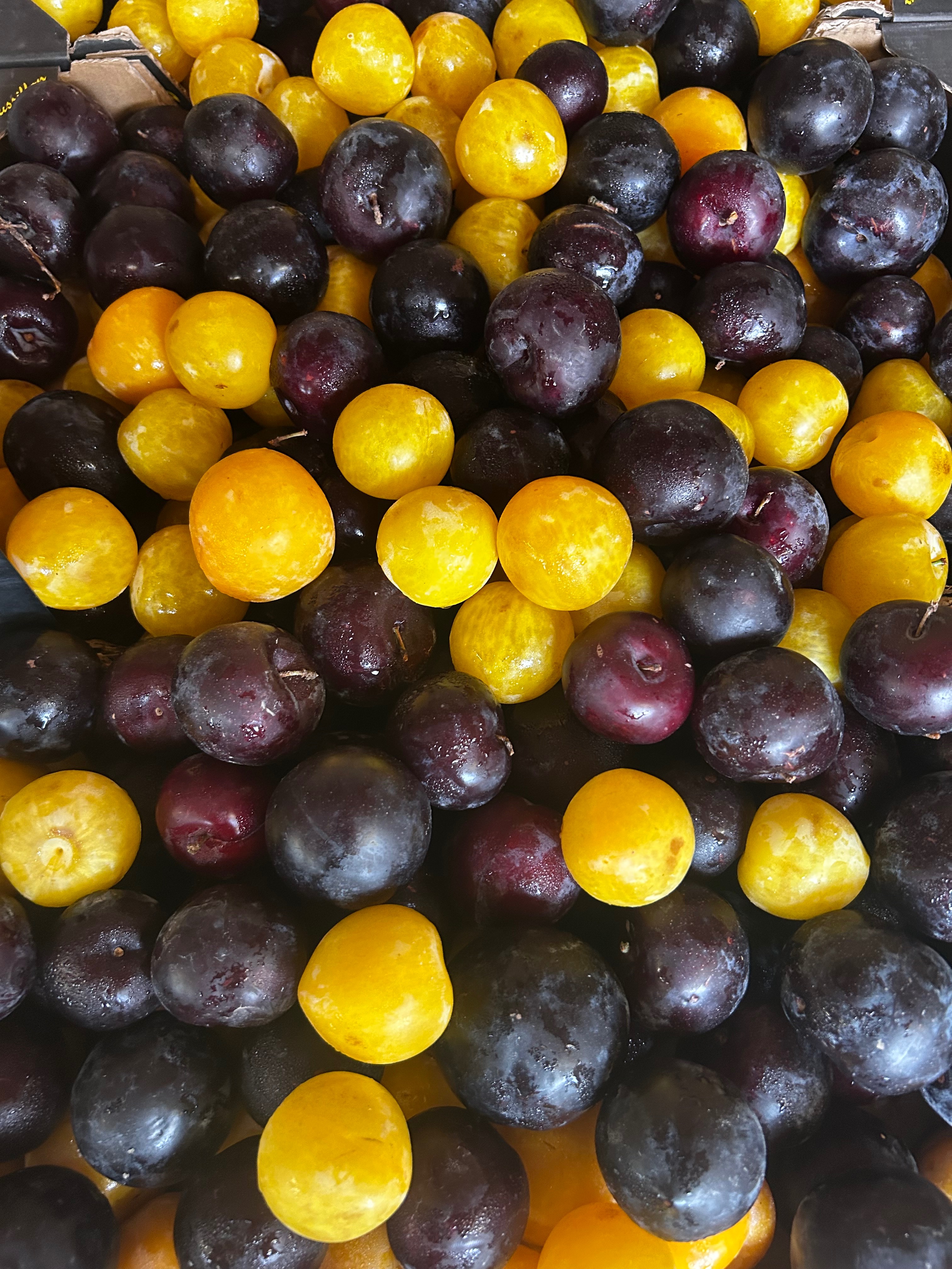 PRUNE