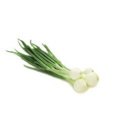 Oignon blanc botte