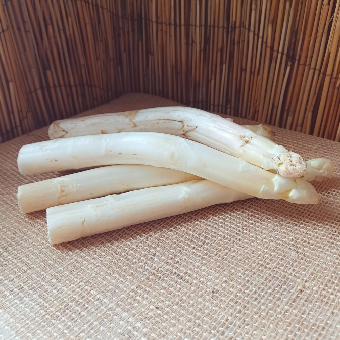 ASPERGE - 450g