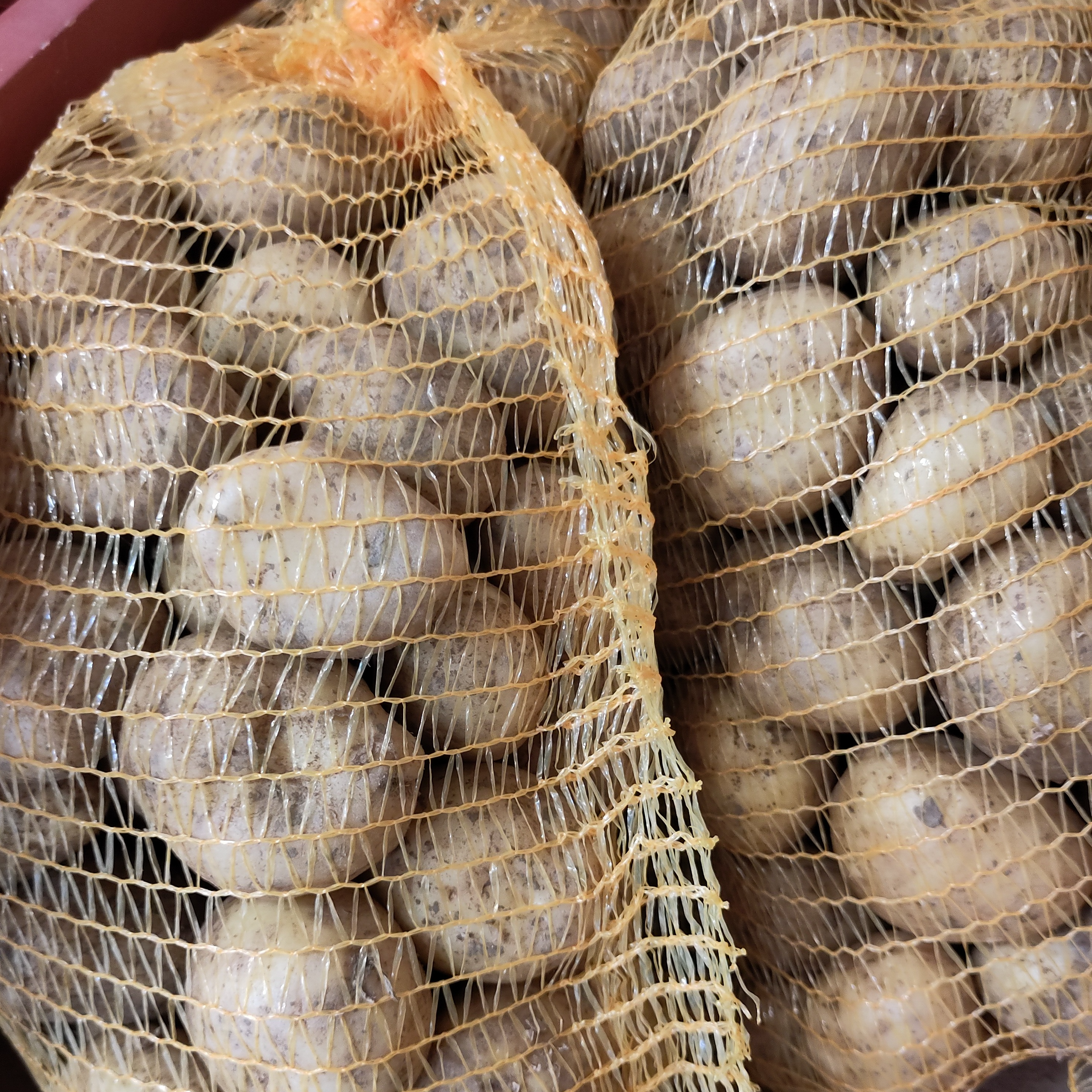 PDT Agria 5Kg BIO chair tendre